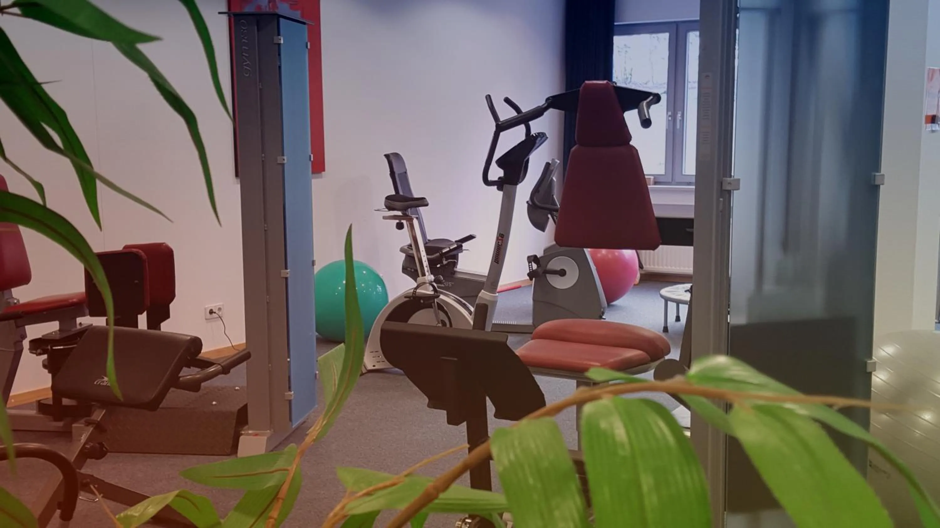 Fitness centre/facilities in Hotel Scholz