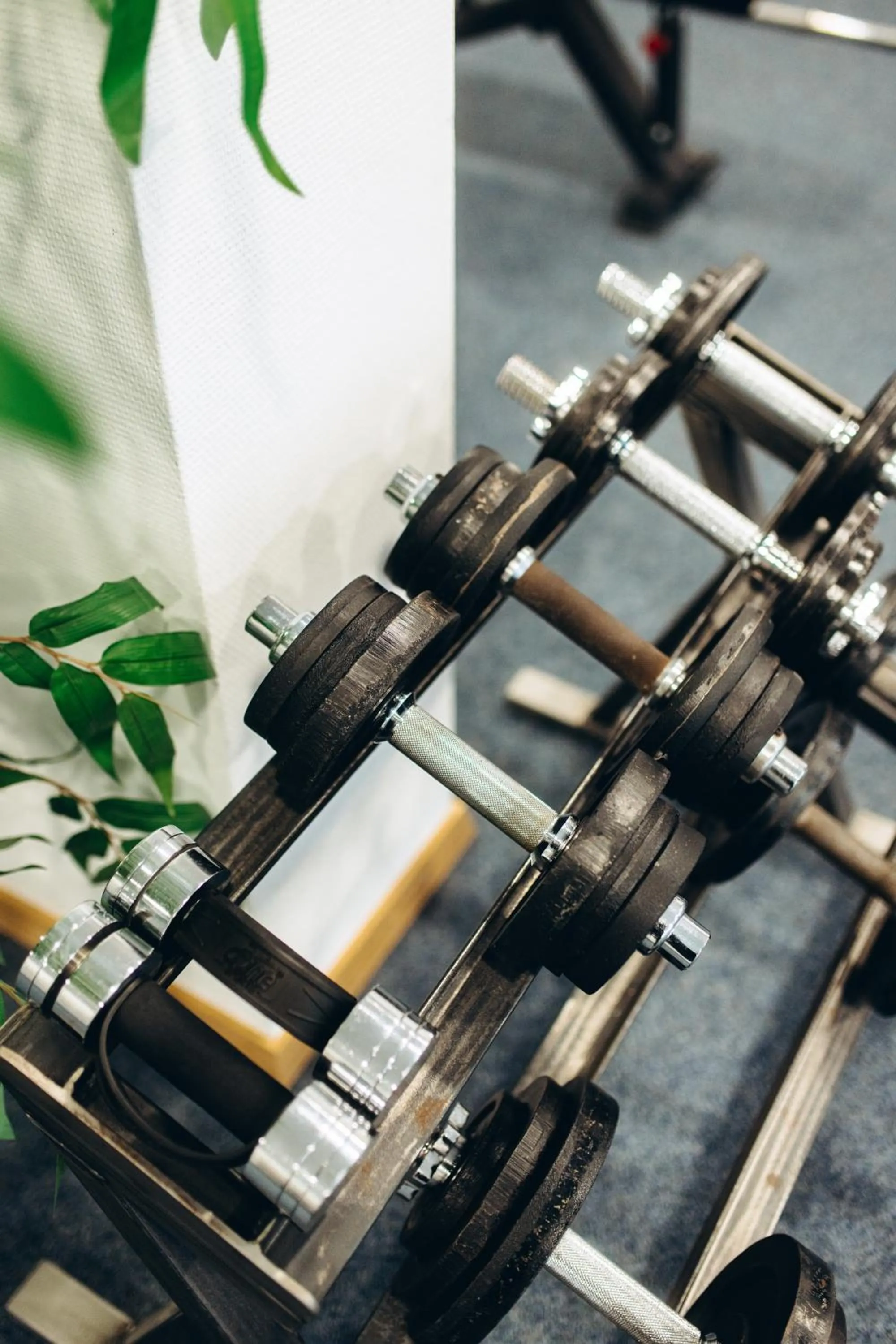 Fitness centre/facilities in Hotel Scholz