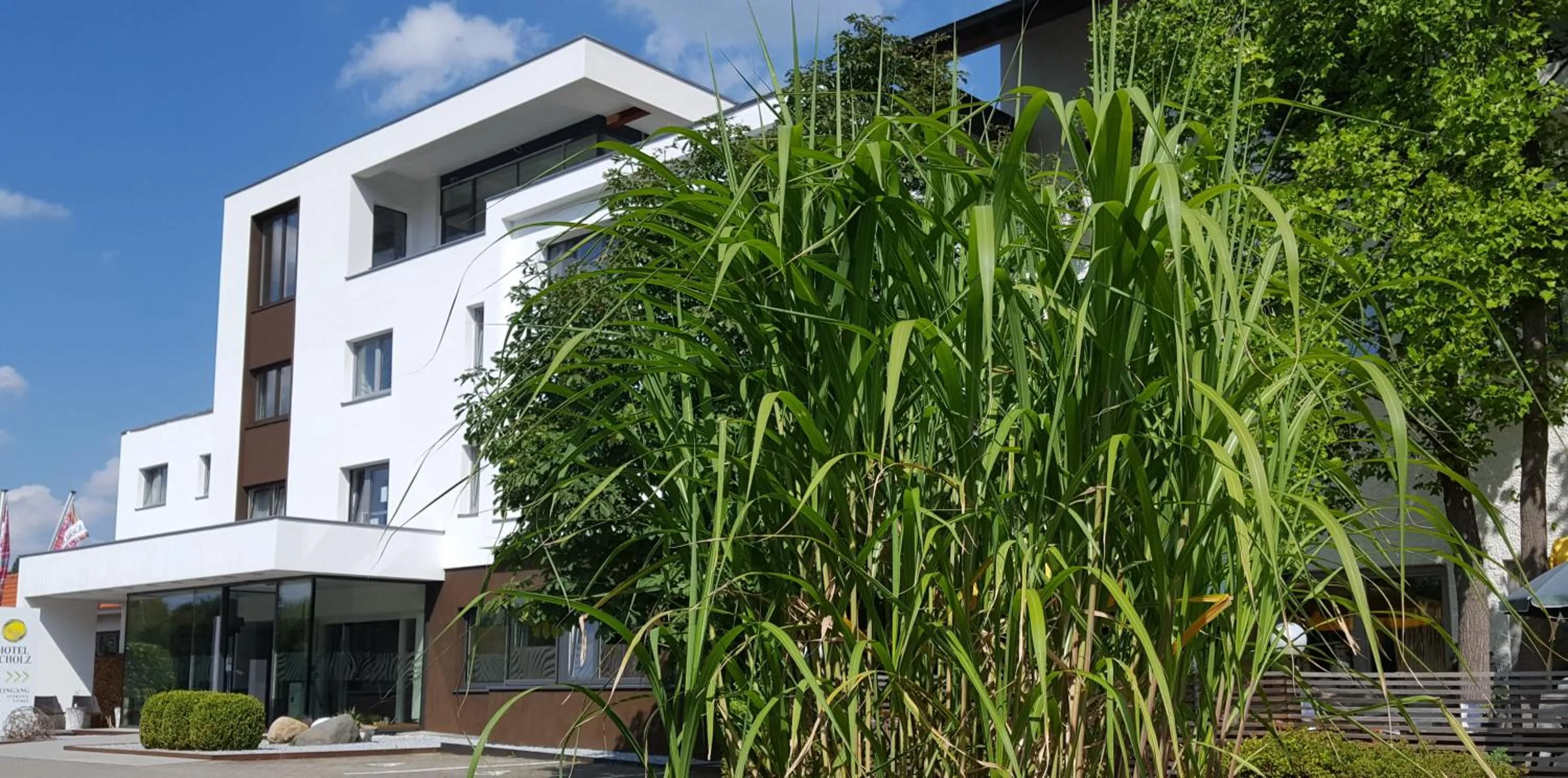 Facade/entrance in Hotel Scholz