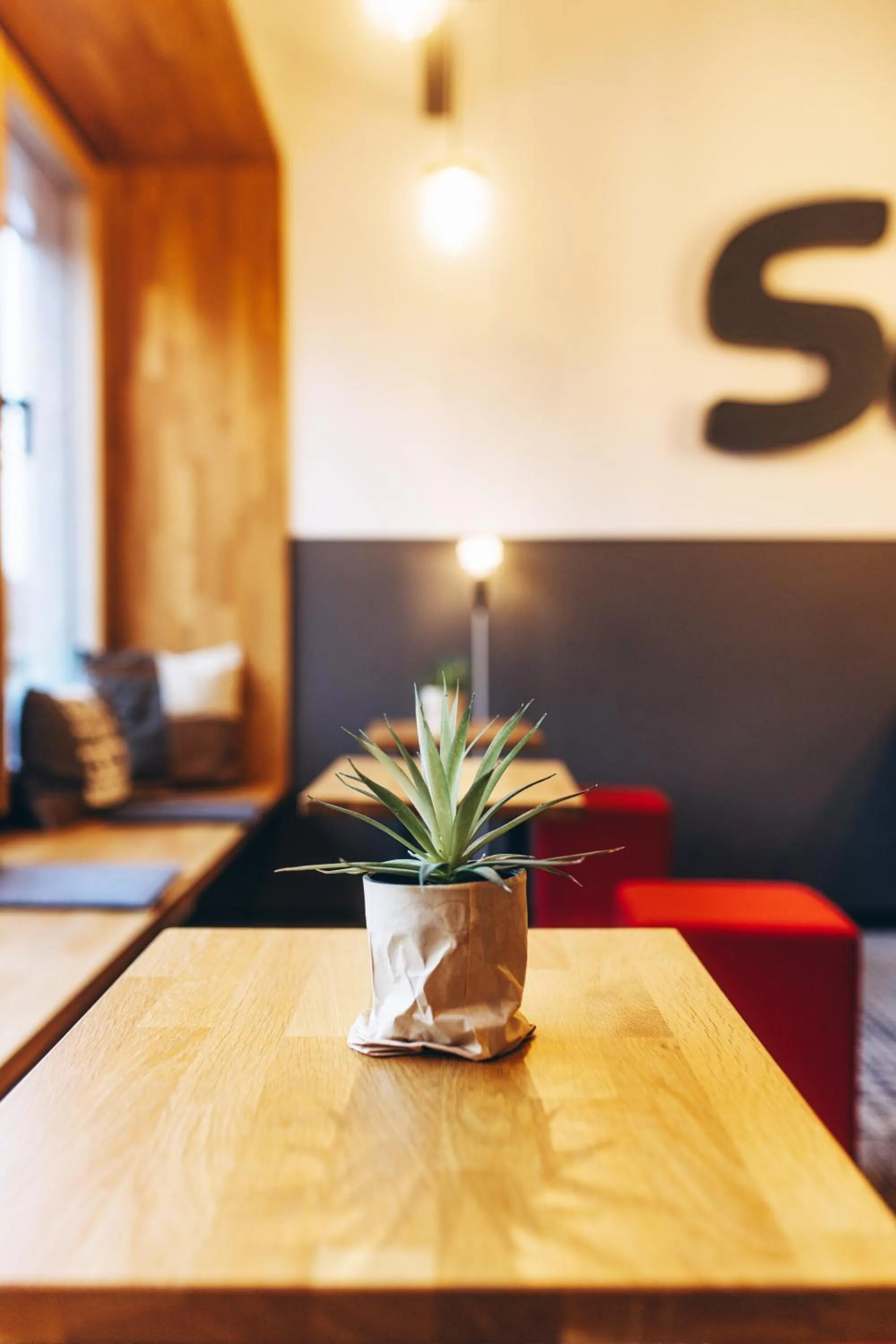 Lounge or bar in Hotel Scholz