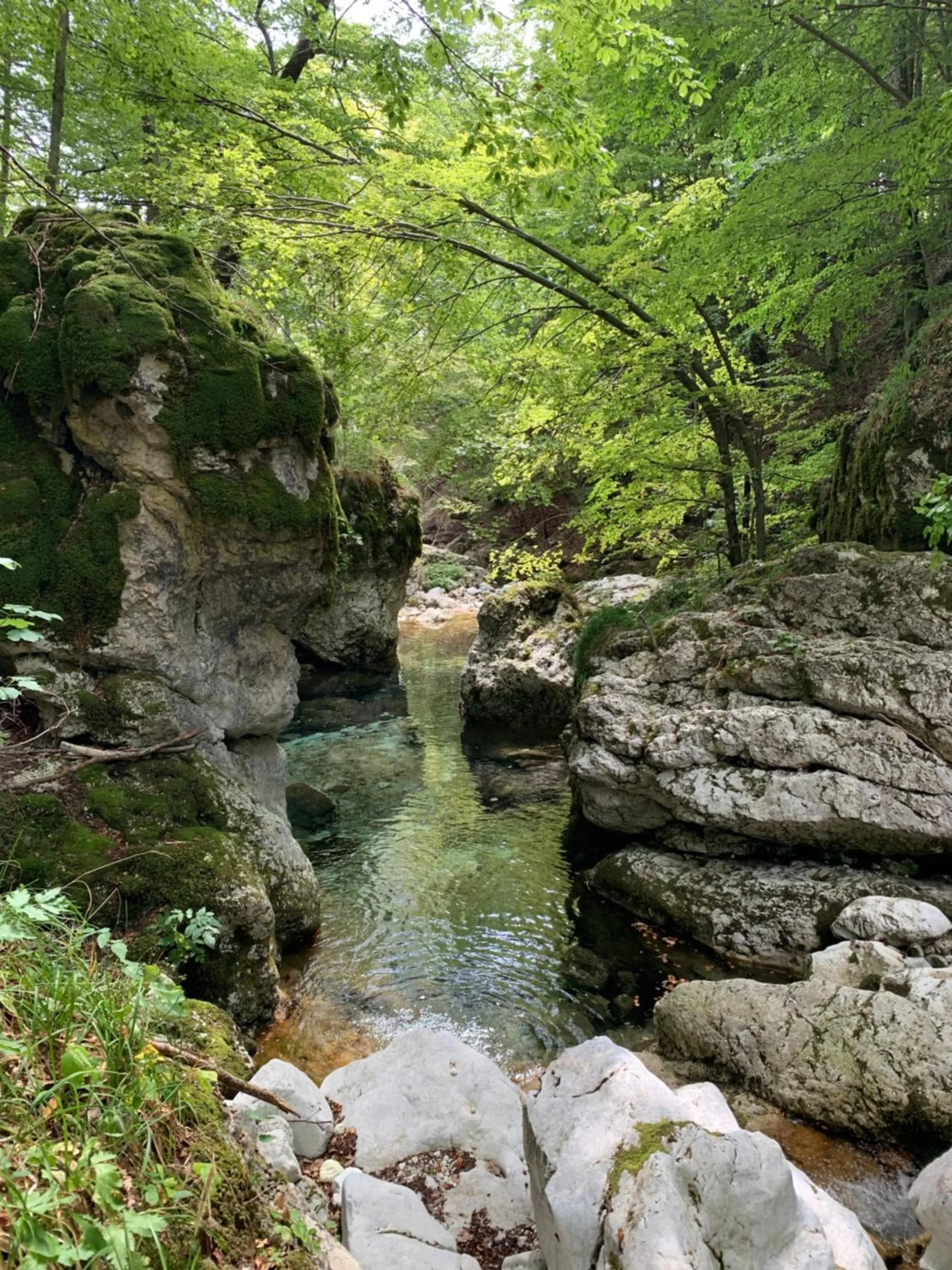 Natural landscape in Palazzo del Senatore