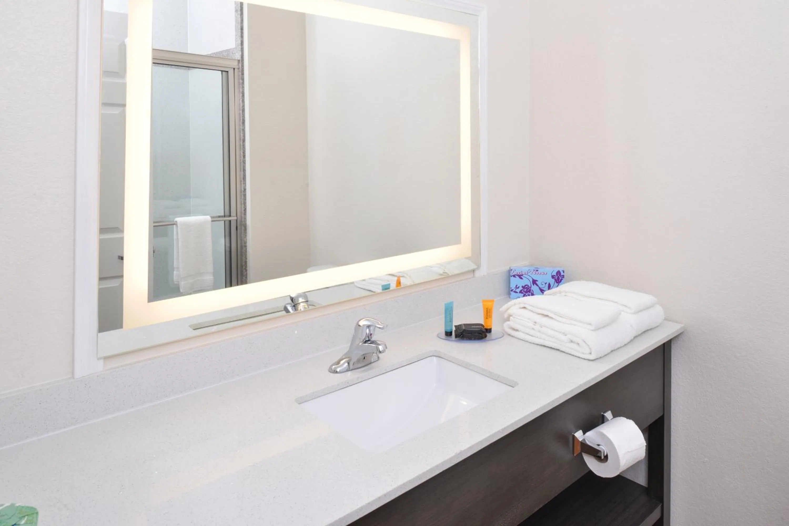 Bathroom in Regency Inn & Suites- NW Houston