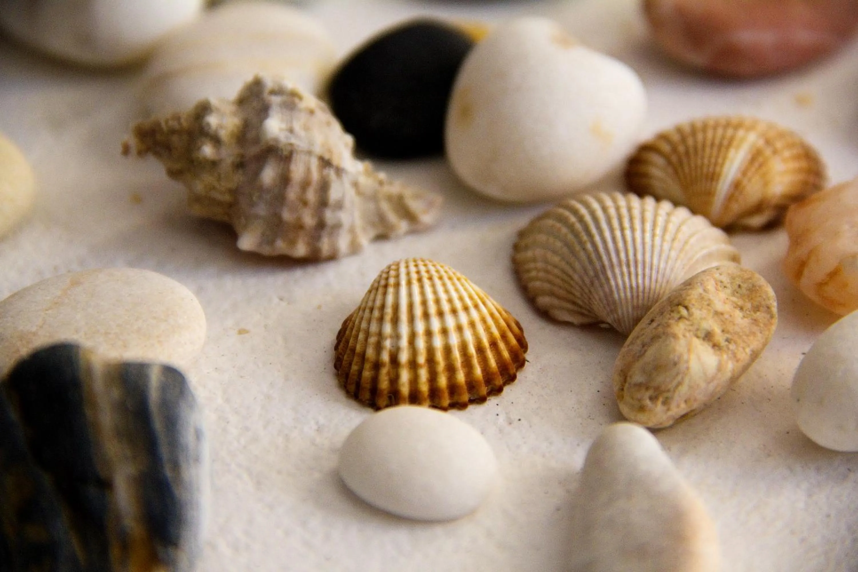 Decorative detail in Galaxy Hotel