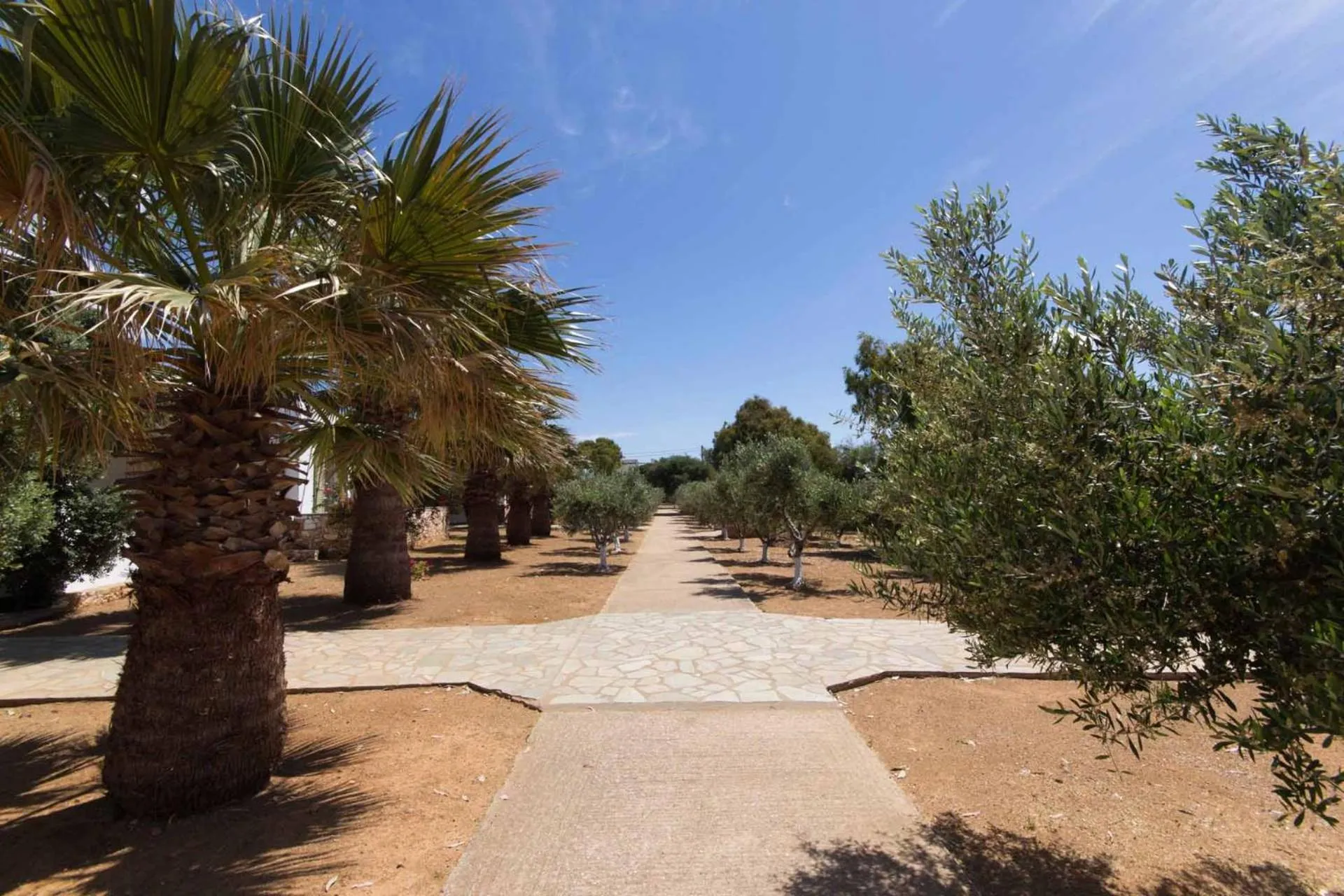 Garden in Parosland Hotel