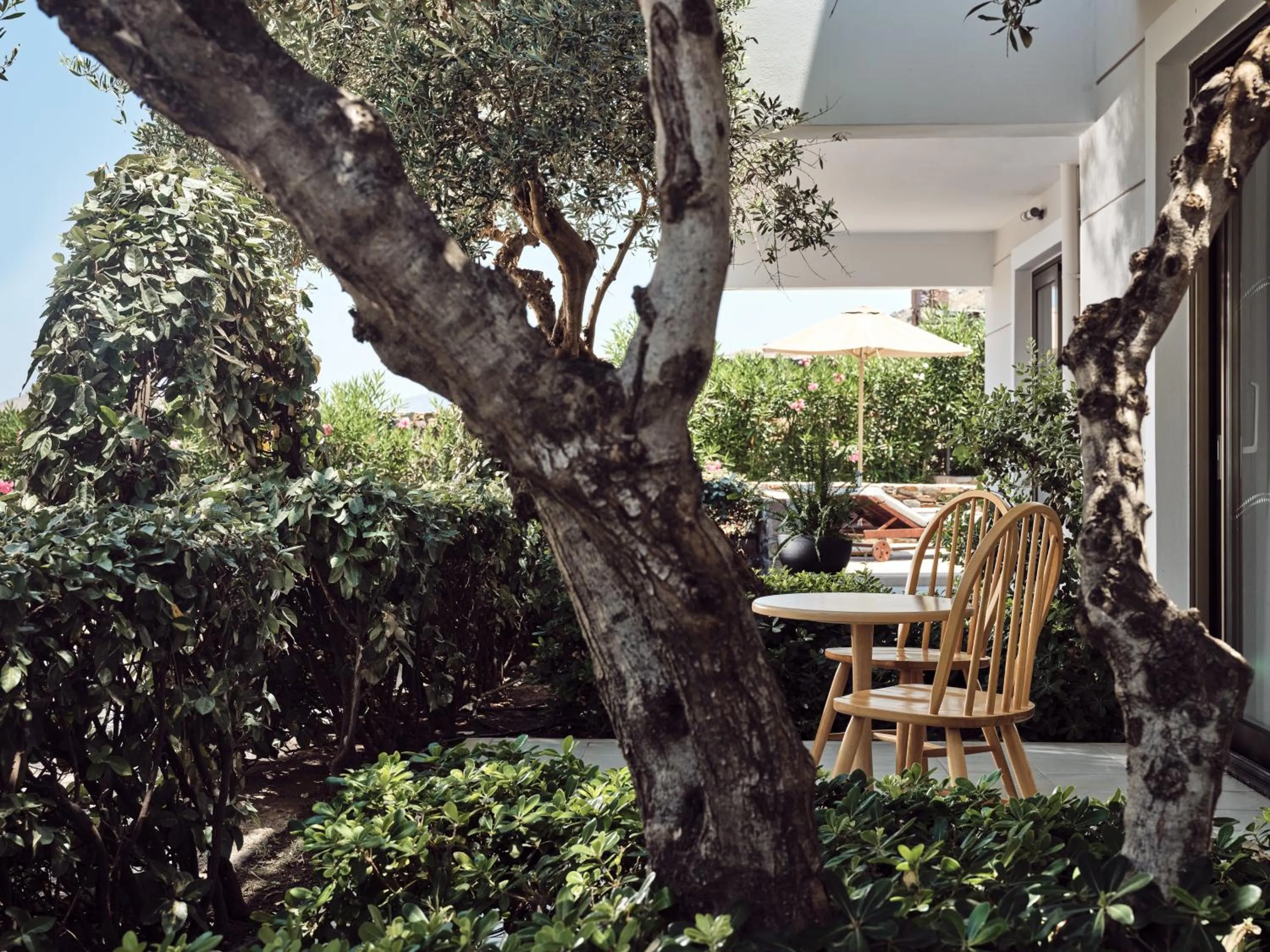 Garden view in The Royal Blue a Luxury Beach Resort