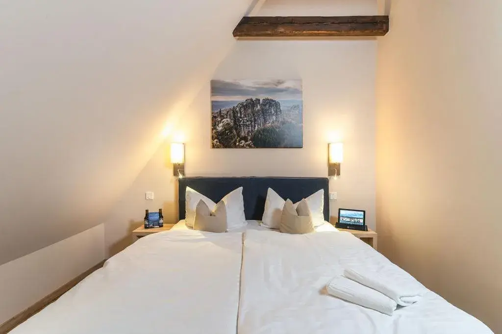 Classic Double Room in Pirnscher Hof - Hotel Garni Classic Double Room in Pirnscher Hof - Hotel Garni