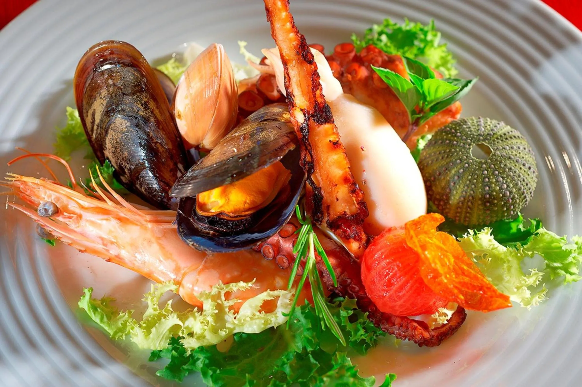 Food close-up in Istion Club & Spa