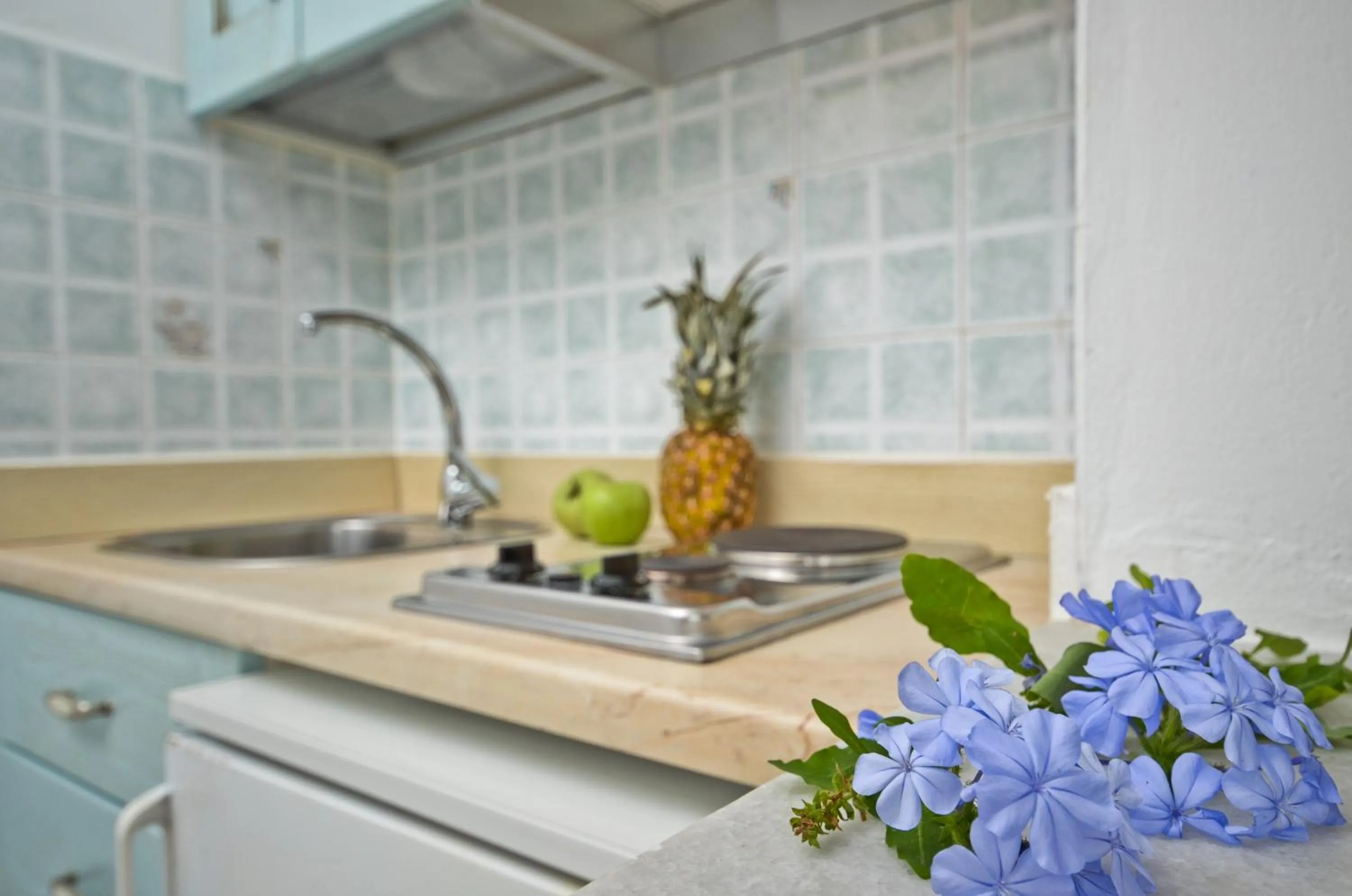 Kitchen or kitchenette in Sea View Apartments & Studios