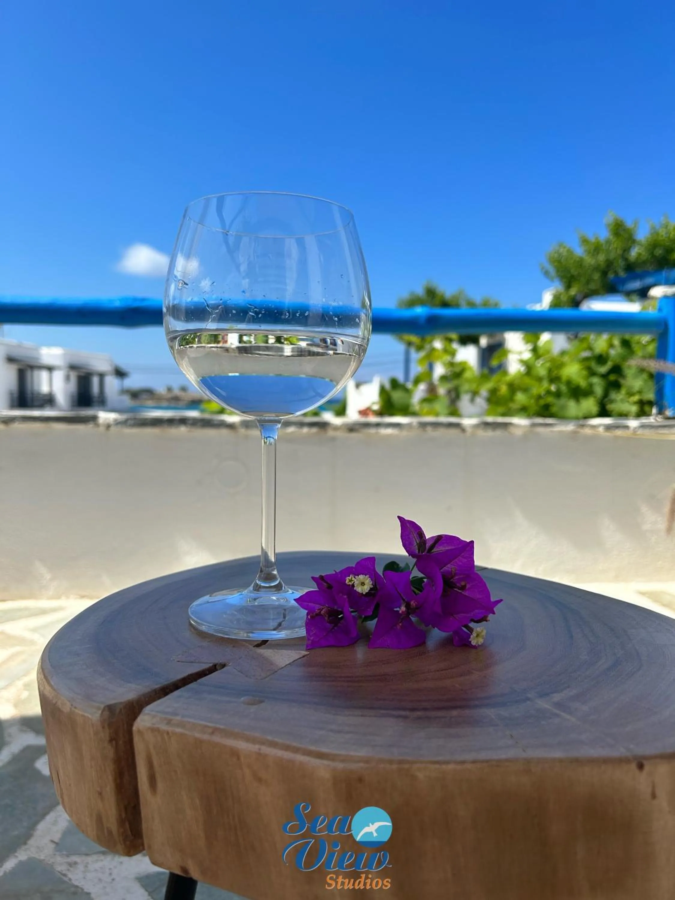 Sea View Apartments & Studios