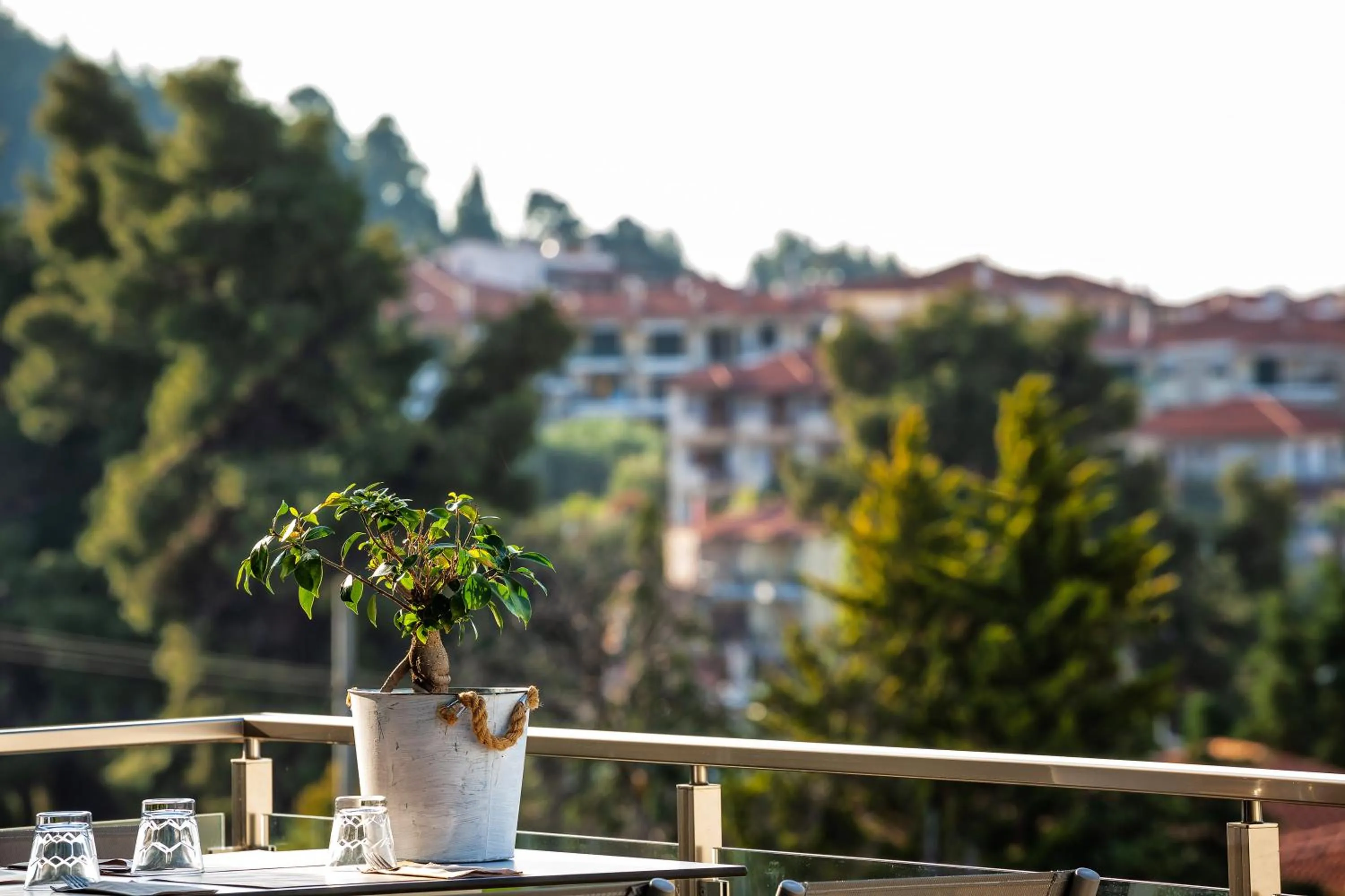 Balcony/Terrace in Hotel Kriopigi