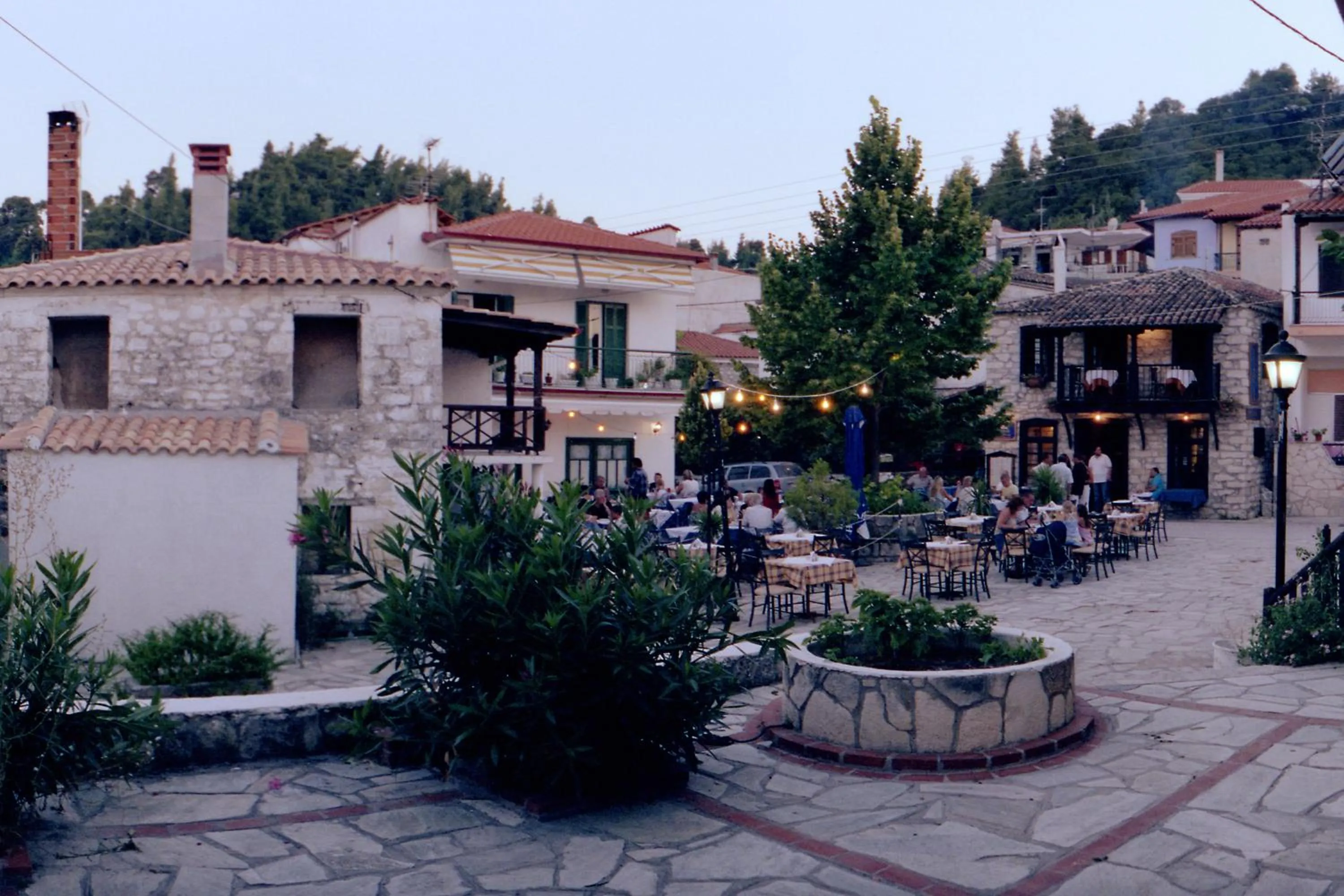 Area and facilities in Hotel Kriopigi