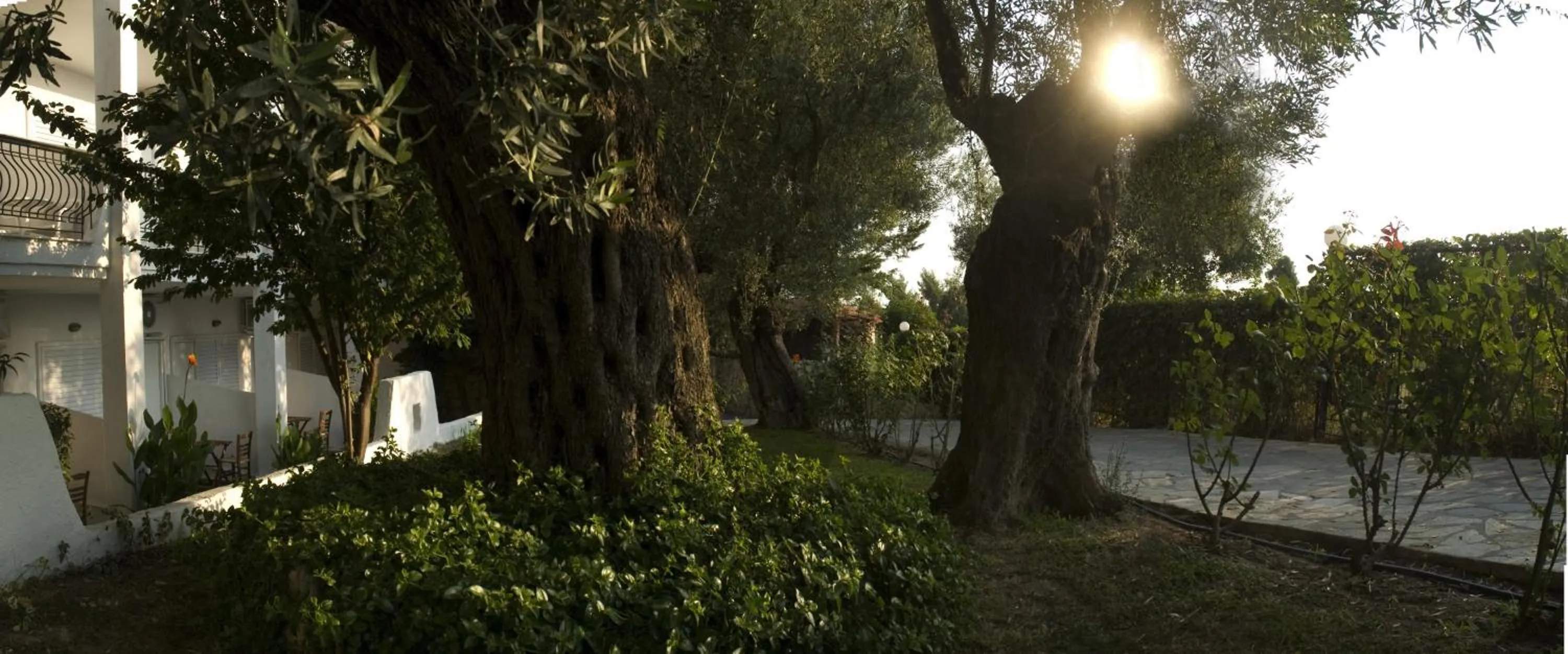 Natural landscape in Hotel Kriopigi