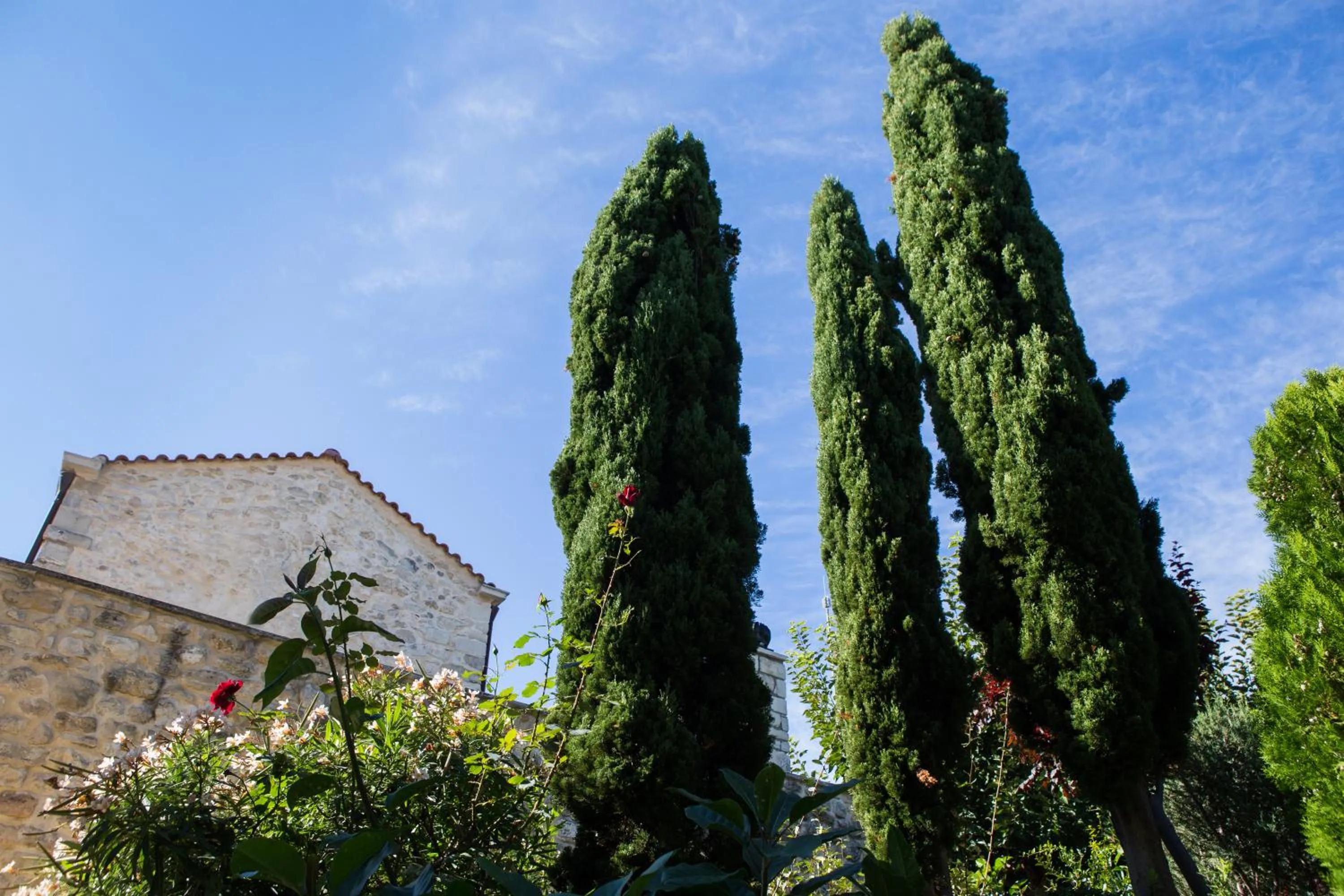 Natural landscape in Arcus Suites