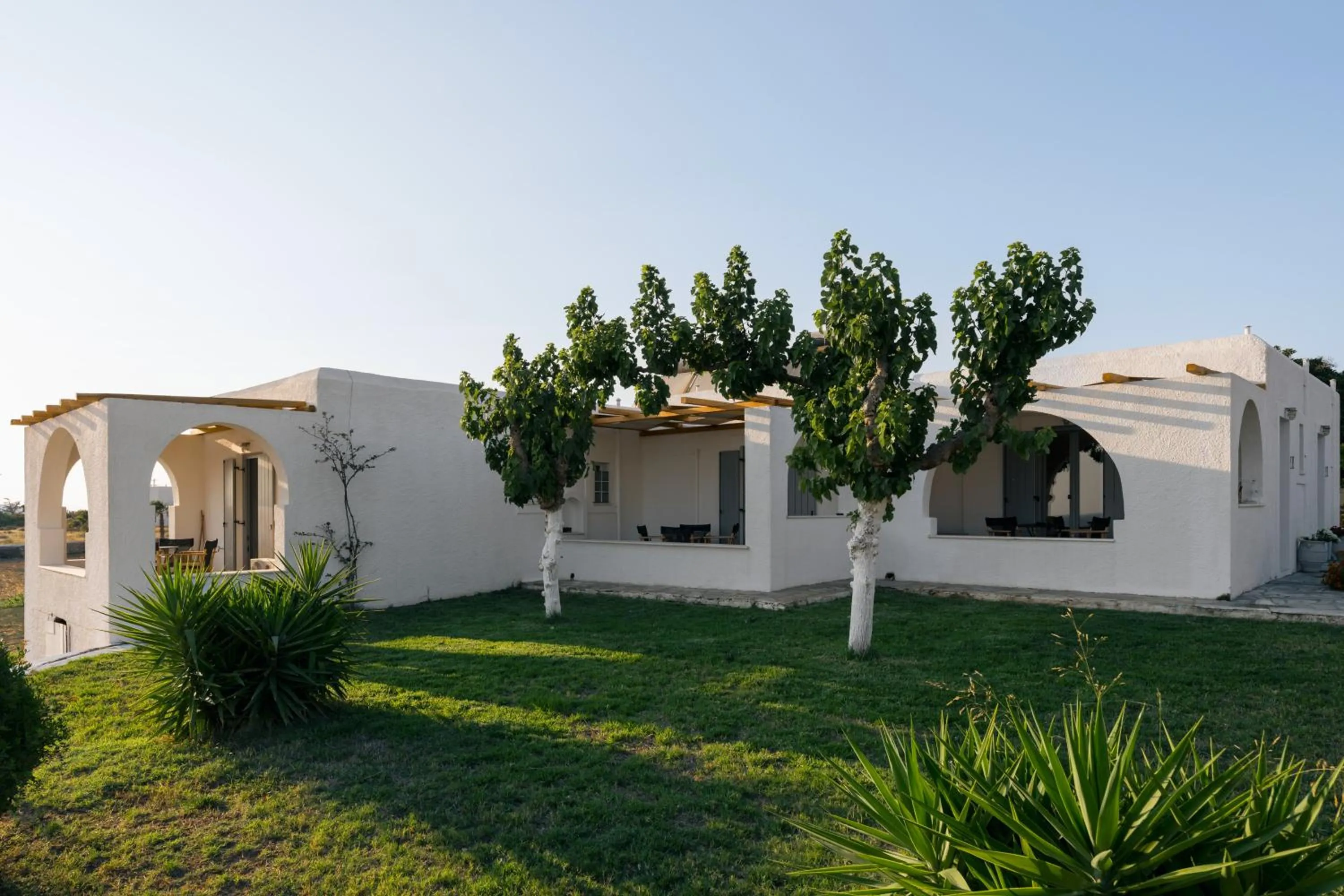 Garden in Scala Apartments