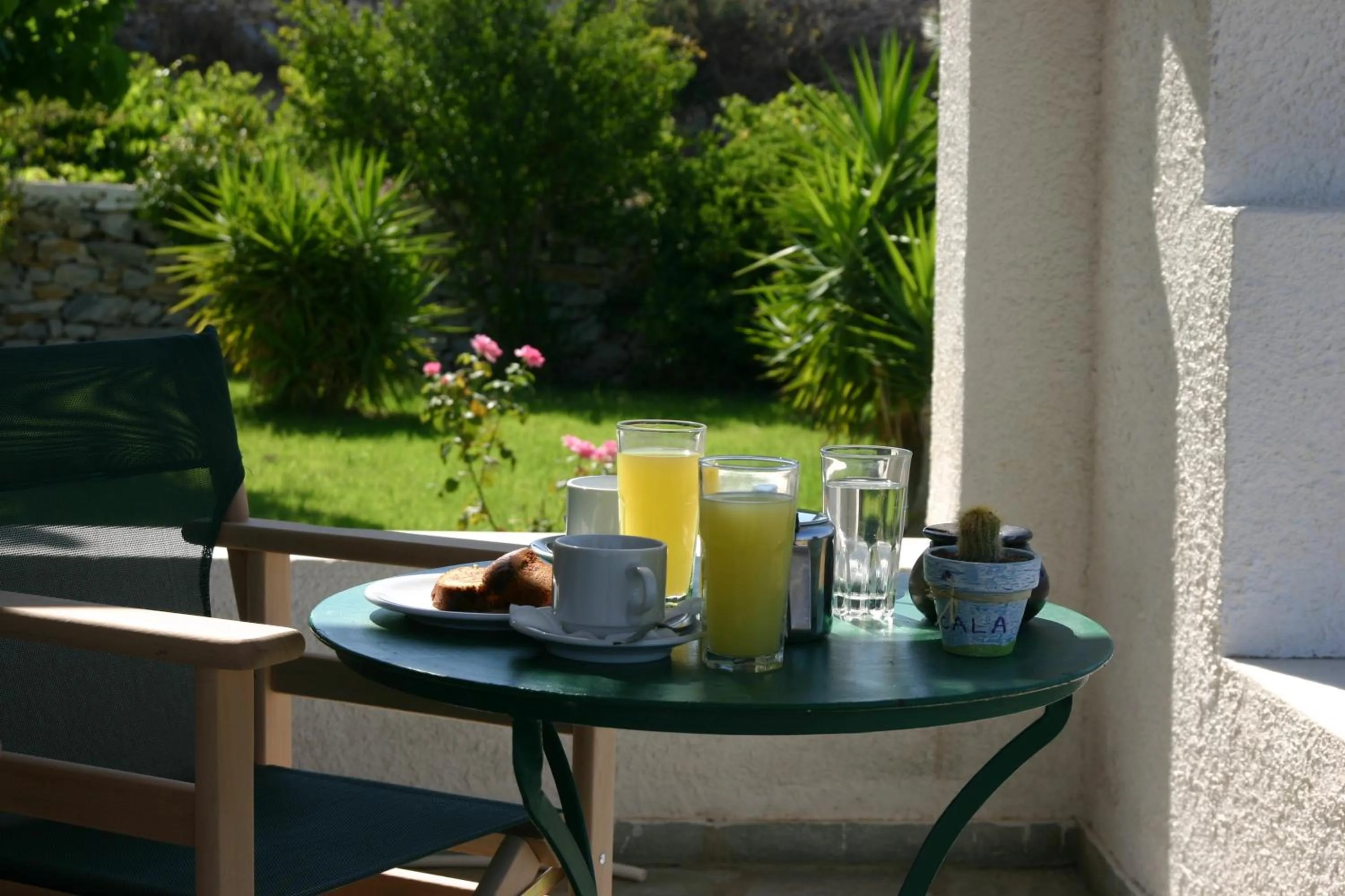 Garden in Scala Apartments