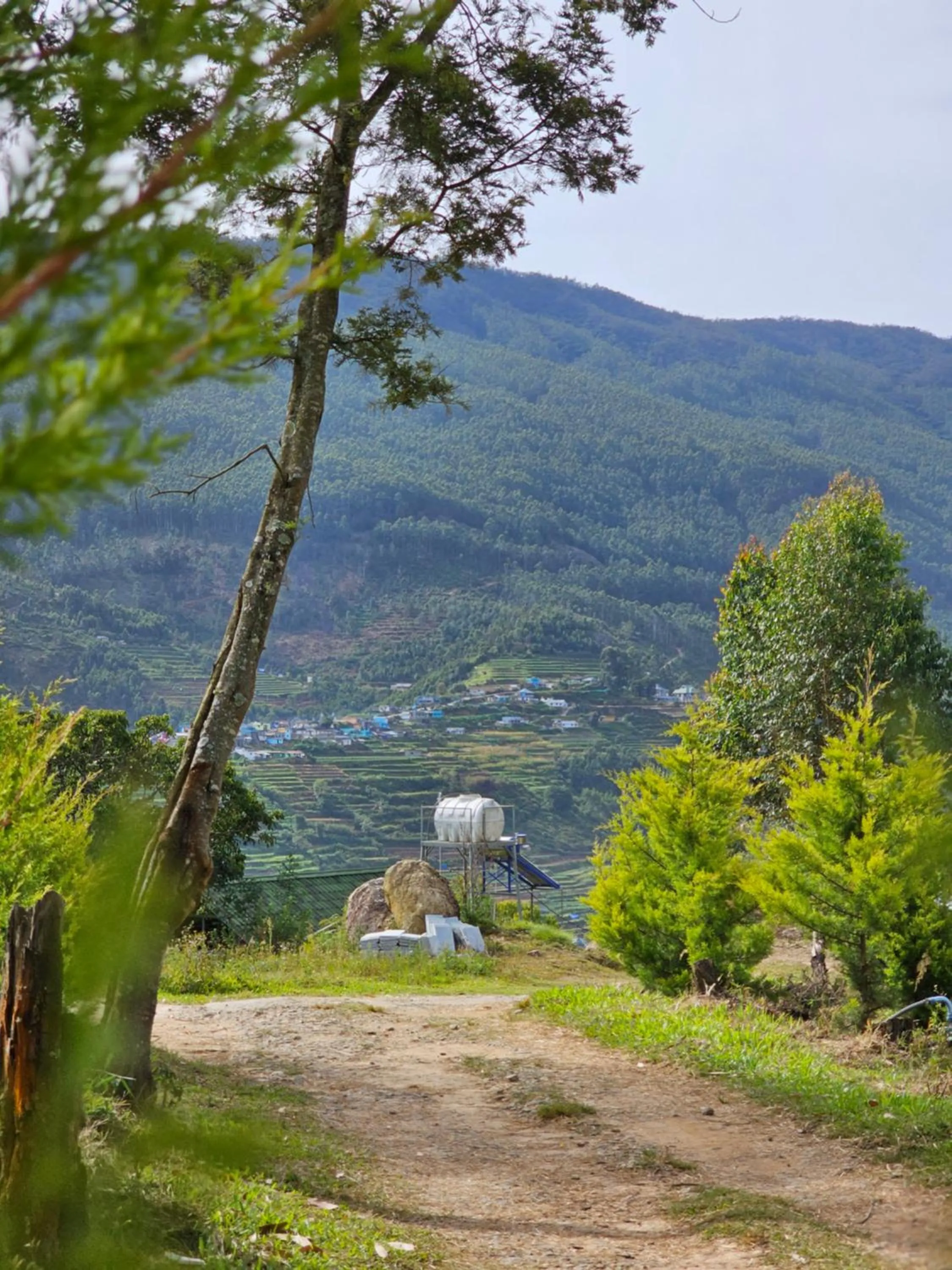 Neighbourhood in NATURE CASTLE -Traditional villa,Vattavada