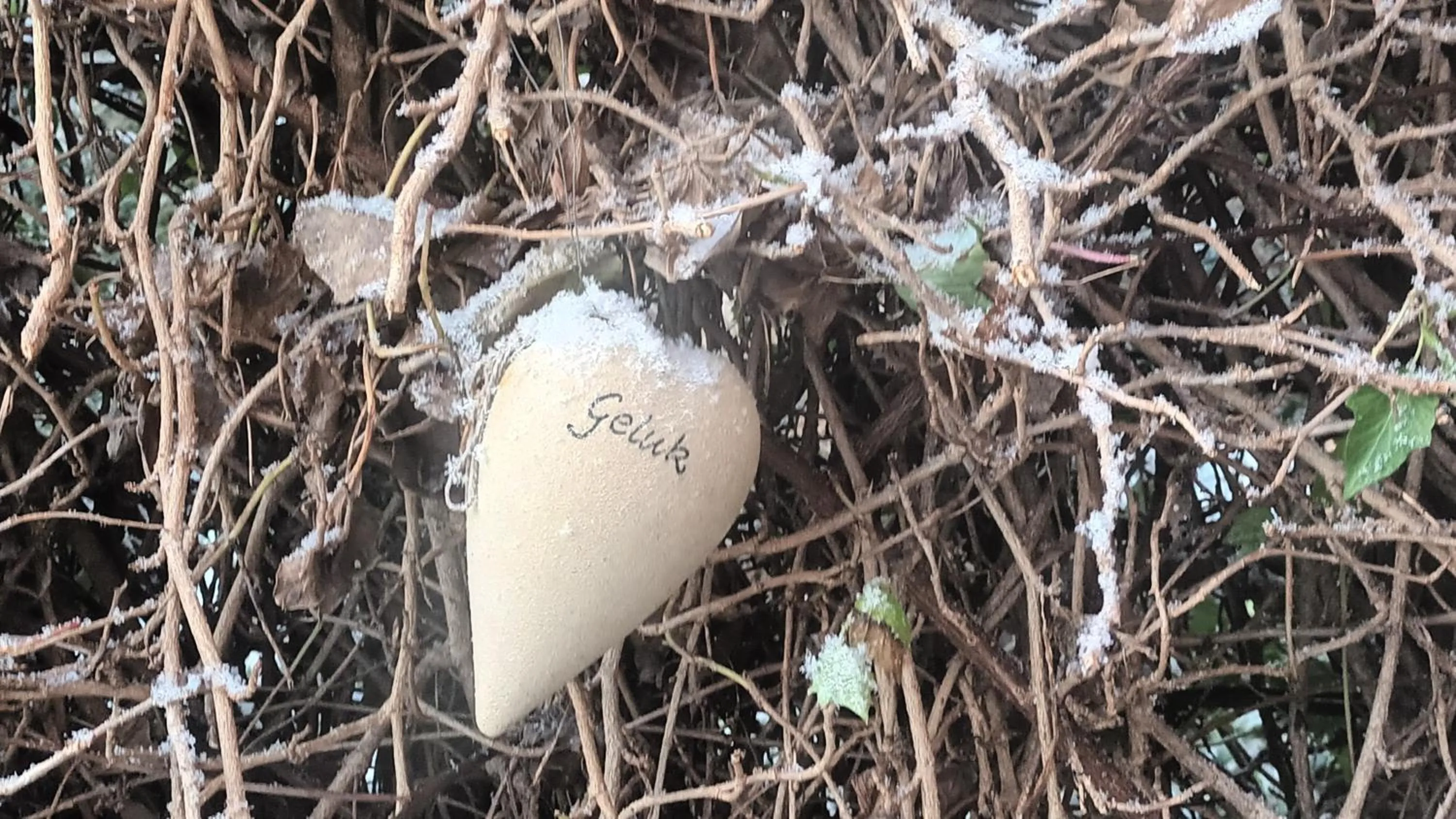 View (from property/room) in B&B Houtstee