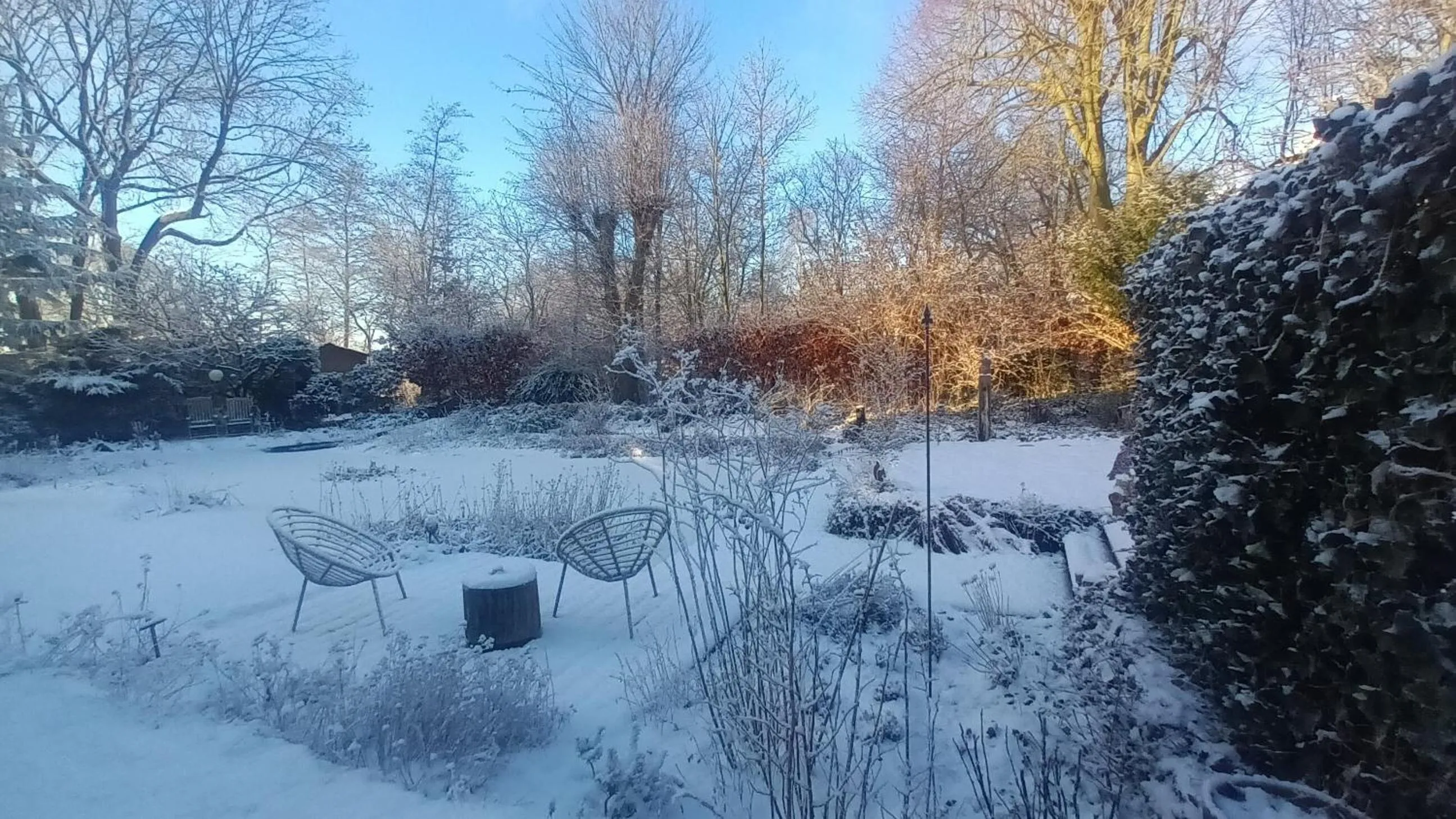 View (from property/room) in B&B Houtstee