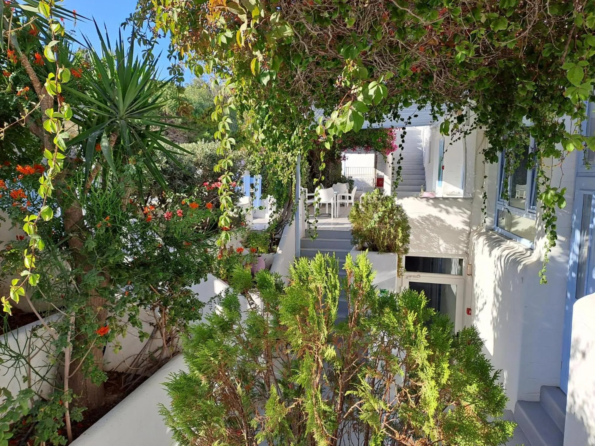 Garden in Stratos Apartments & Studios