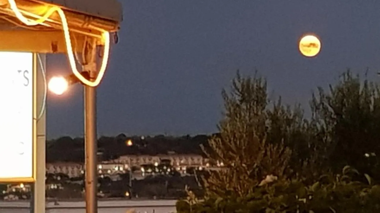 Seaview Apartments Tsilivi