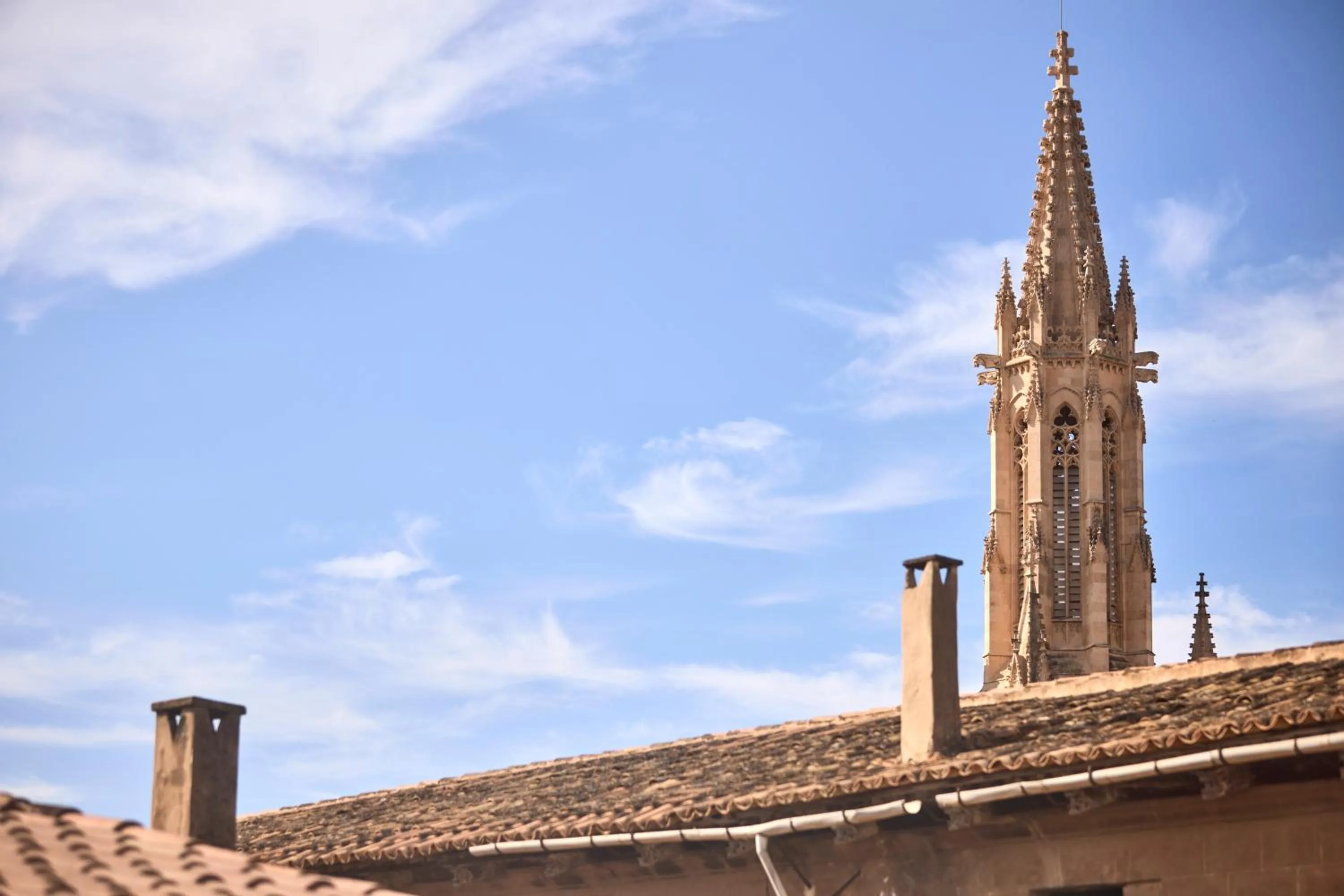 View (from property/room) in Can Savella - Turismo de Interior