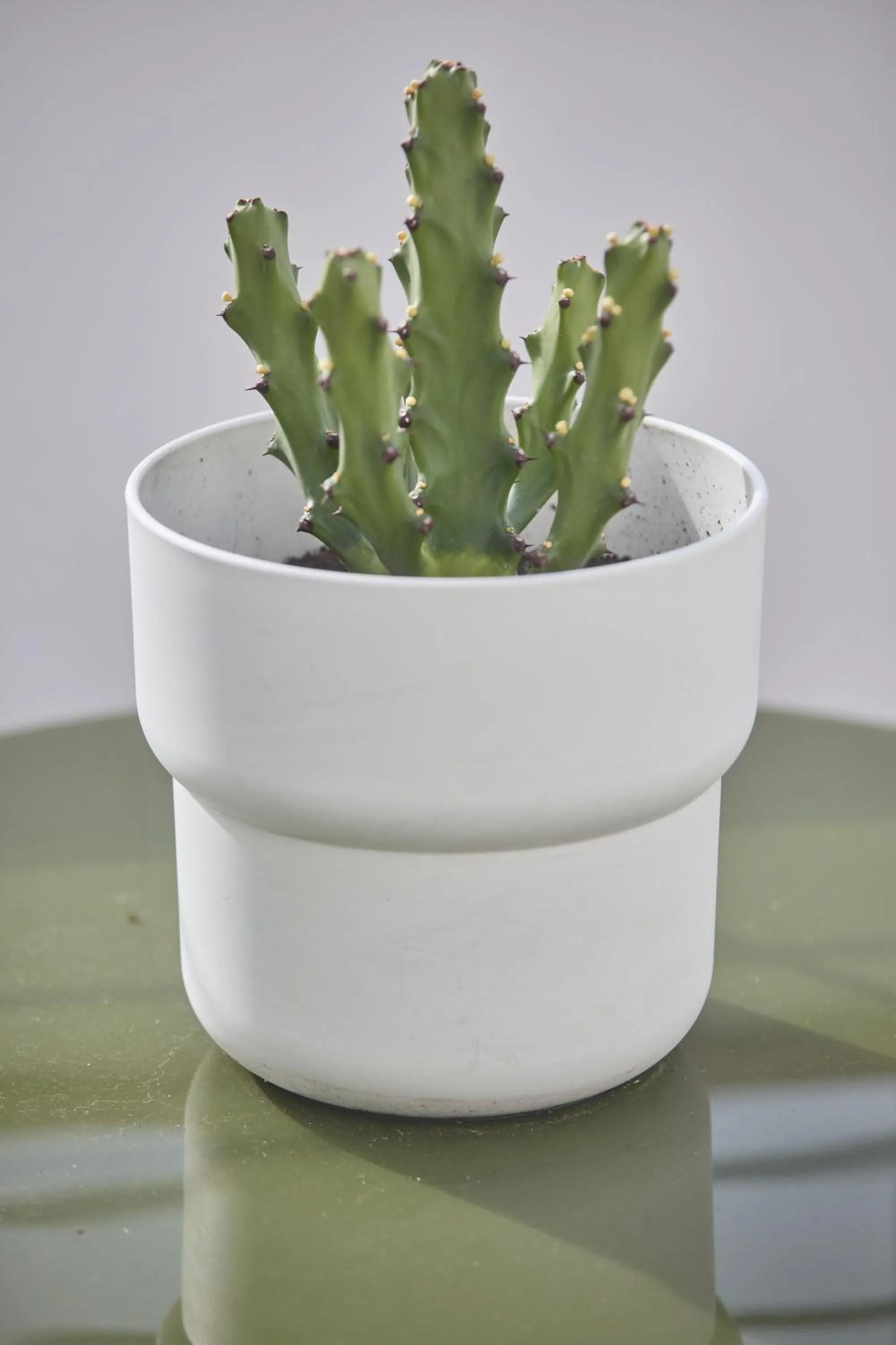 Decorative detail in Can Savella - Turismo de Interior