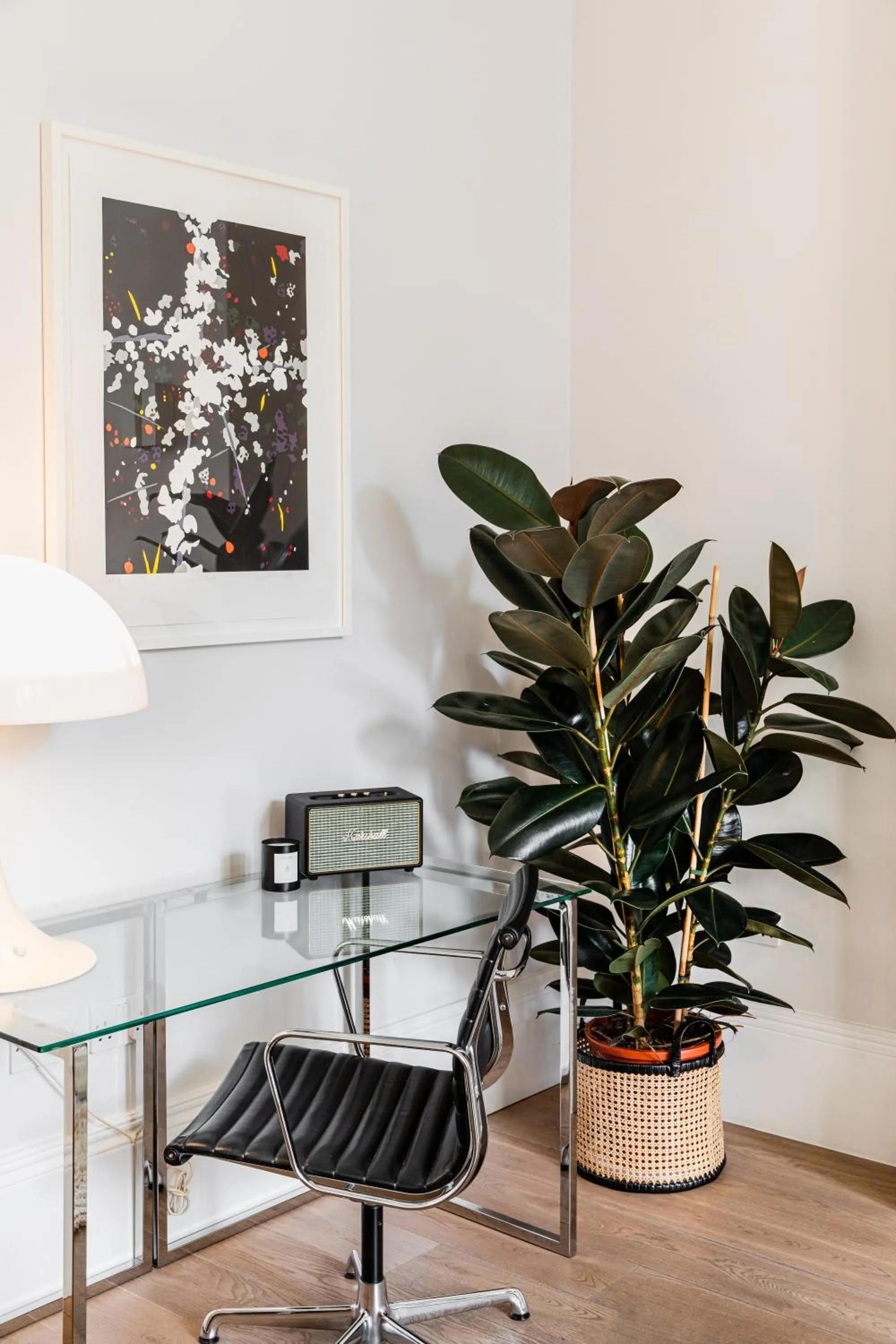 Living room in 56 Welbeck Street