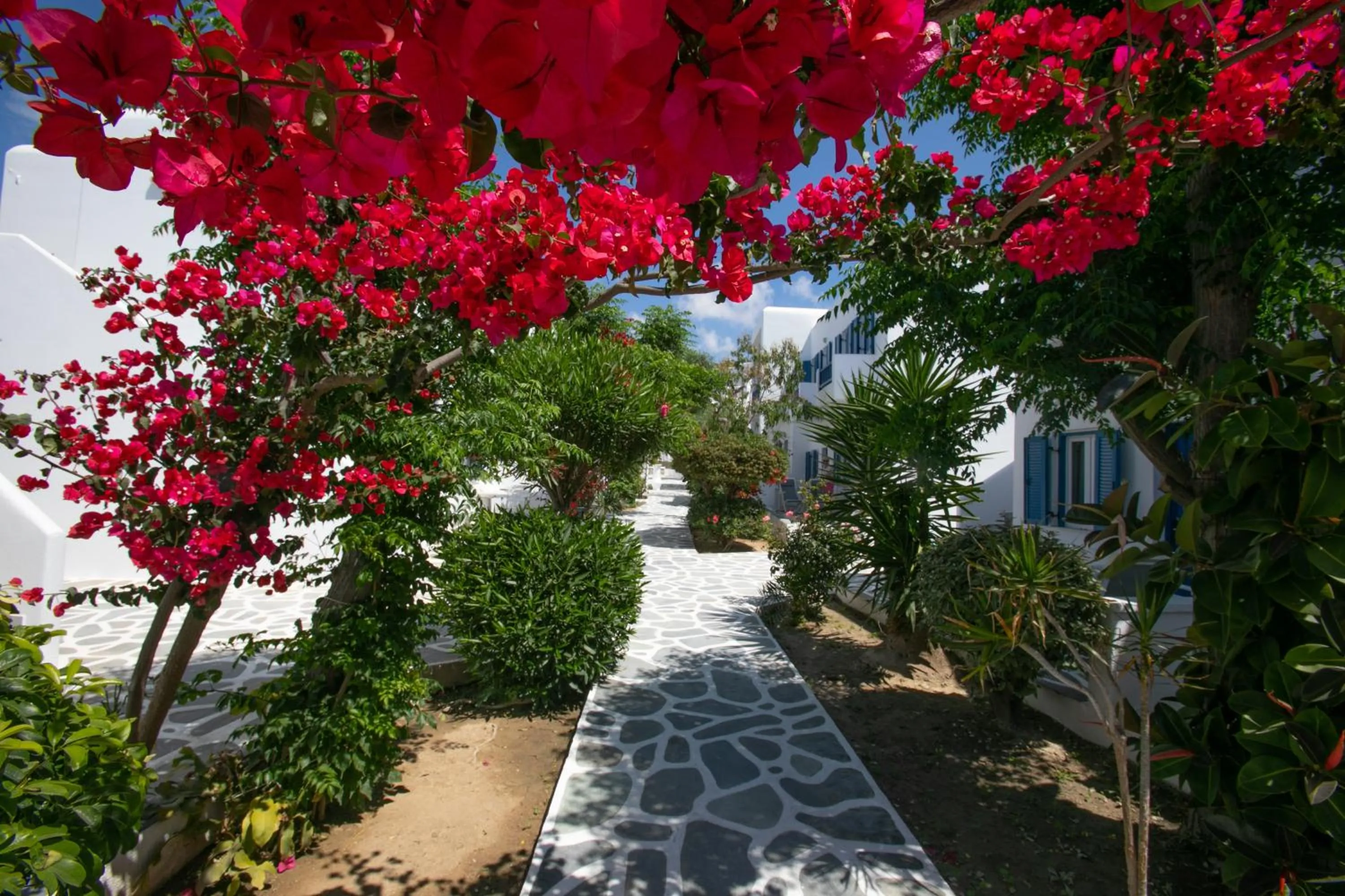 Garden in Acrogiali Beachfront Hotel Mykonos