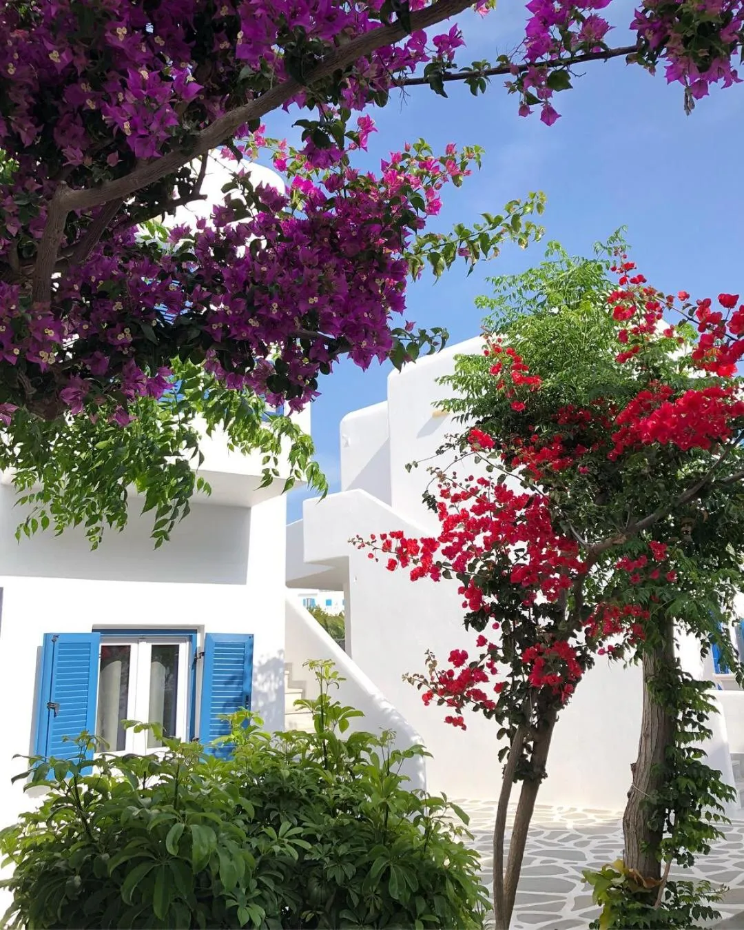 Property building in Acrogiali Beachfront Hotel Mykonos