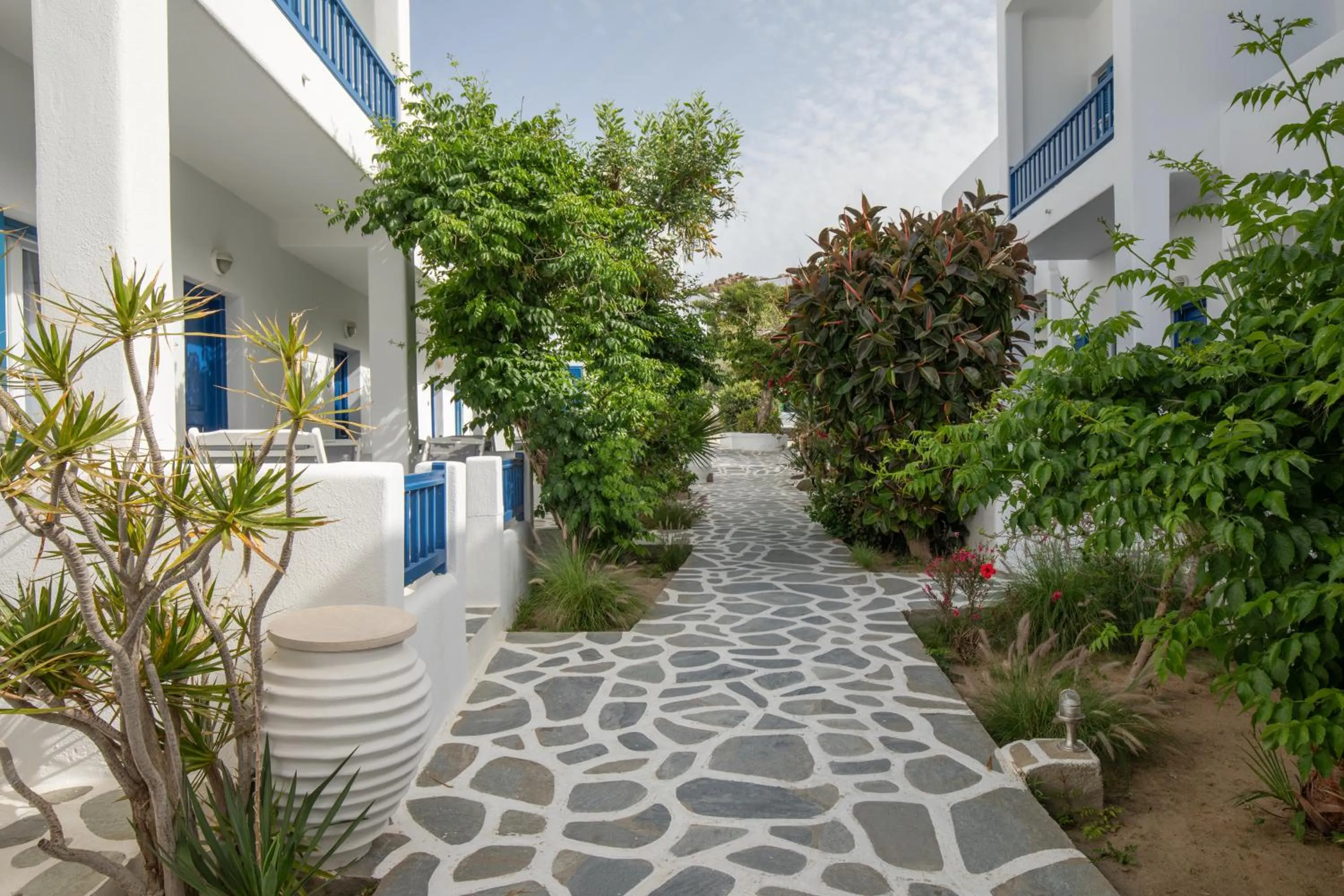 Garden in Acrogiali Beachfront Hotel Mykonos