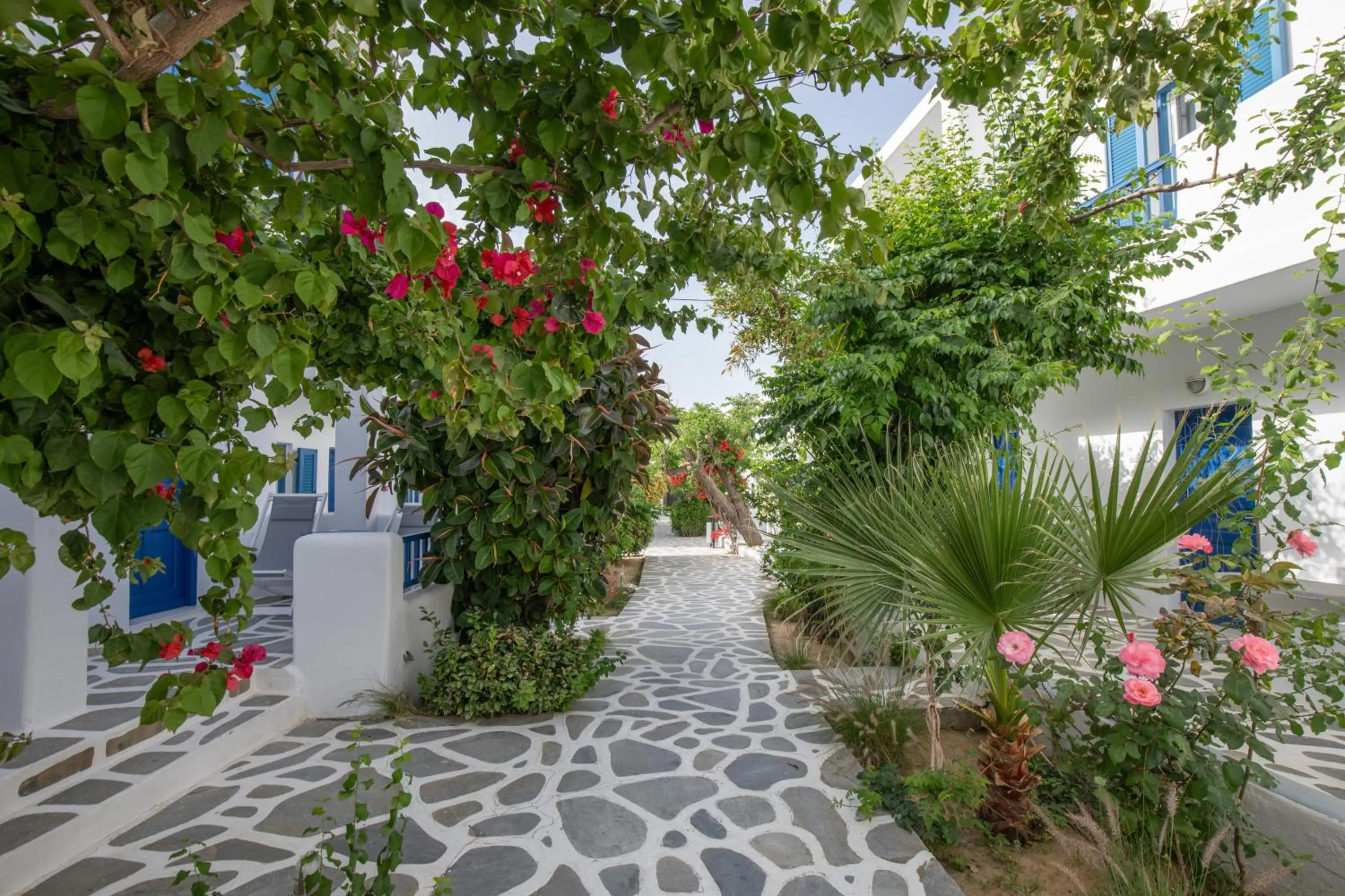 Garden in Acrogiali Beachfront Hotel Mykonos