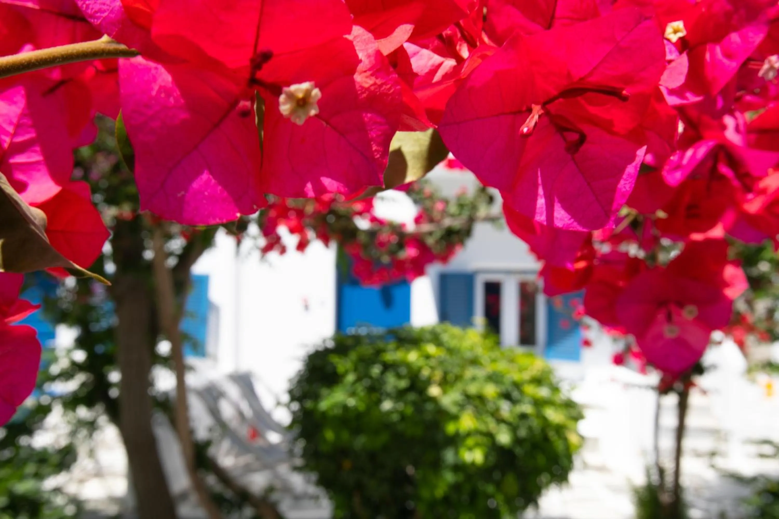 Property building in Acrogiali Beachfront Hotel Mykonos