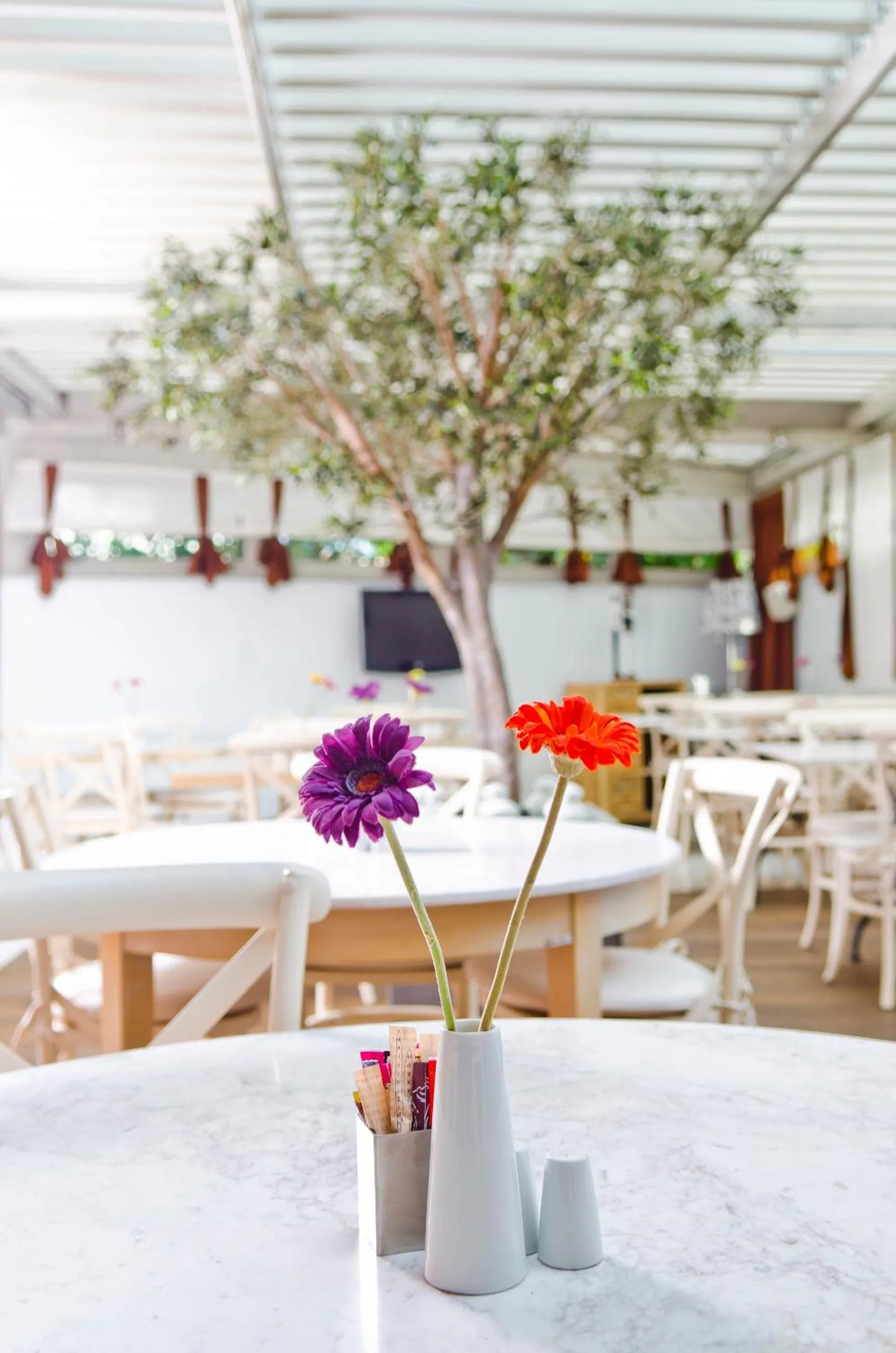 Restaurant/places to eat in Habitat Hotel