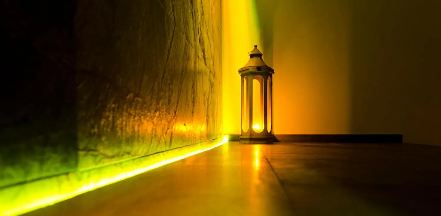 Night in Habitat Hotel