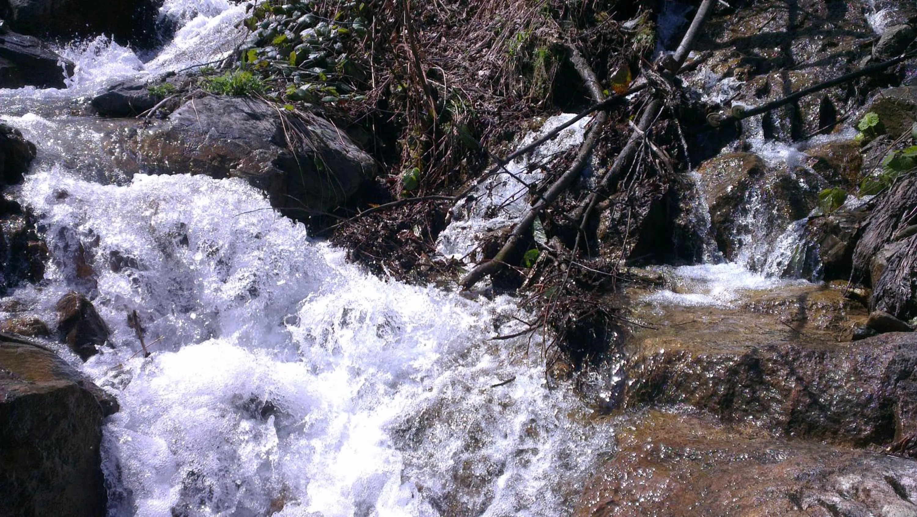 Other in Ataköy Otel Cafe Restaurant