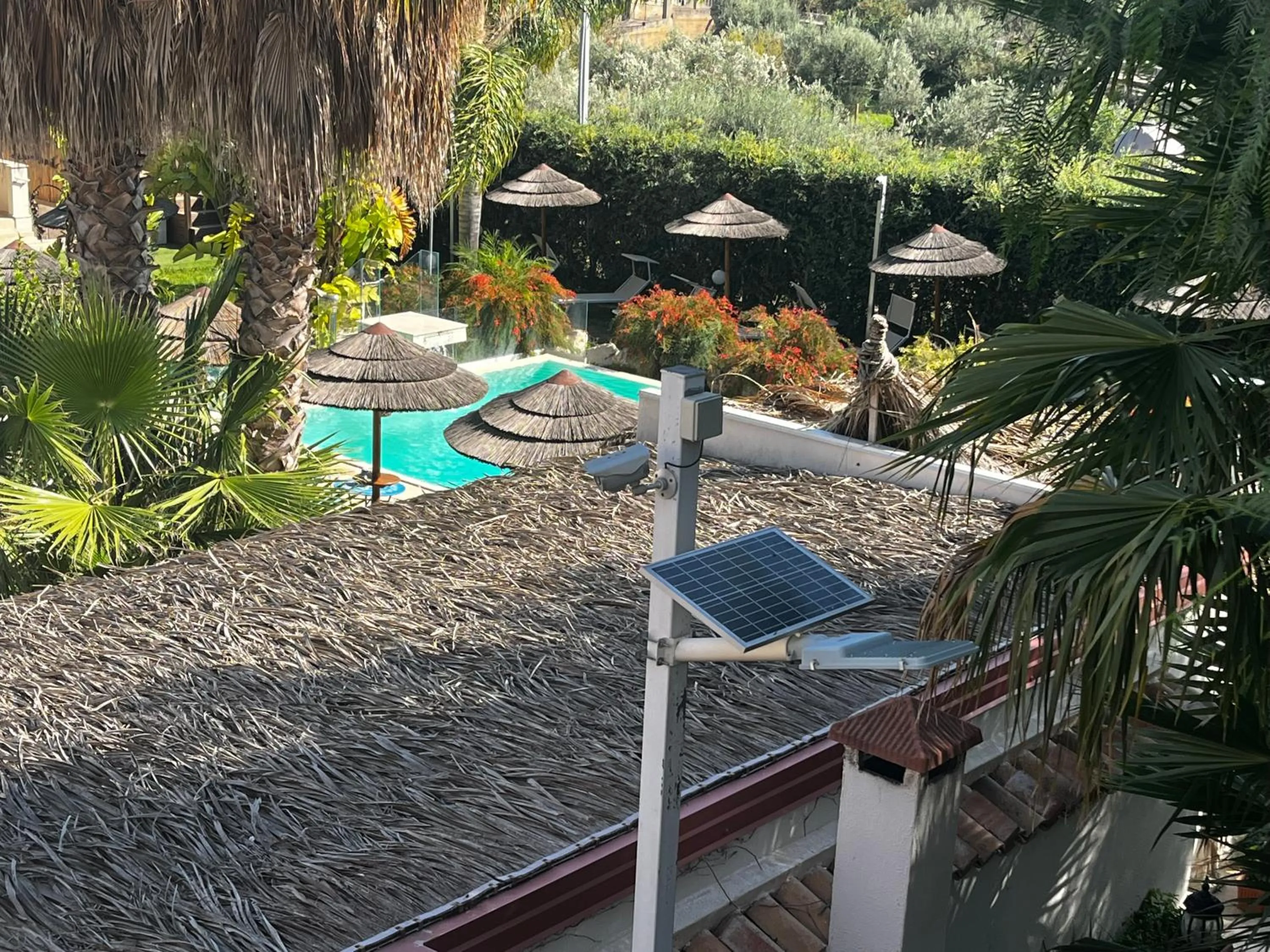 Garden in Saija Resort