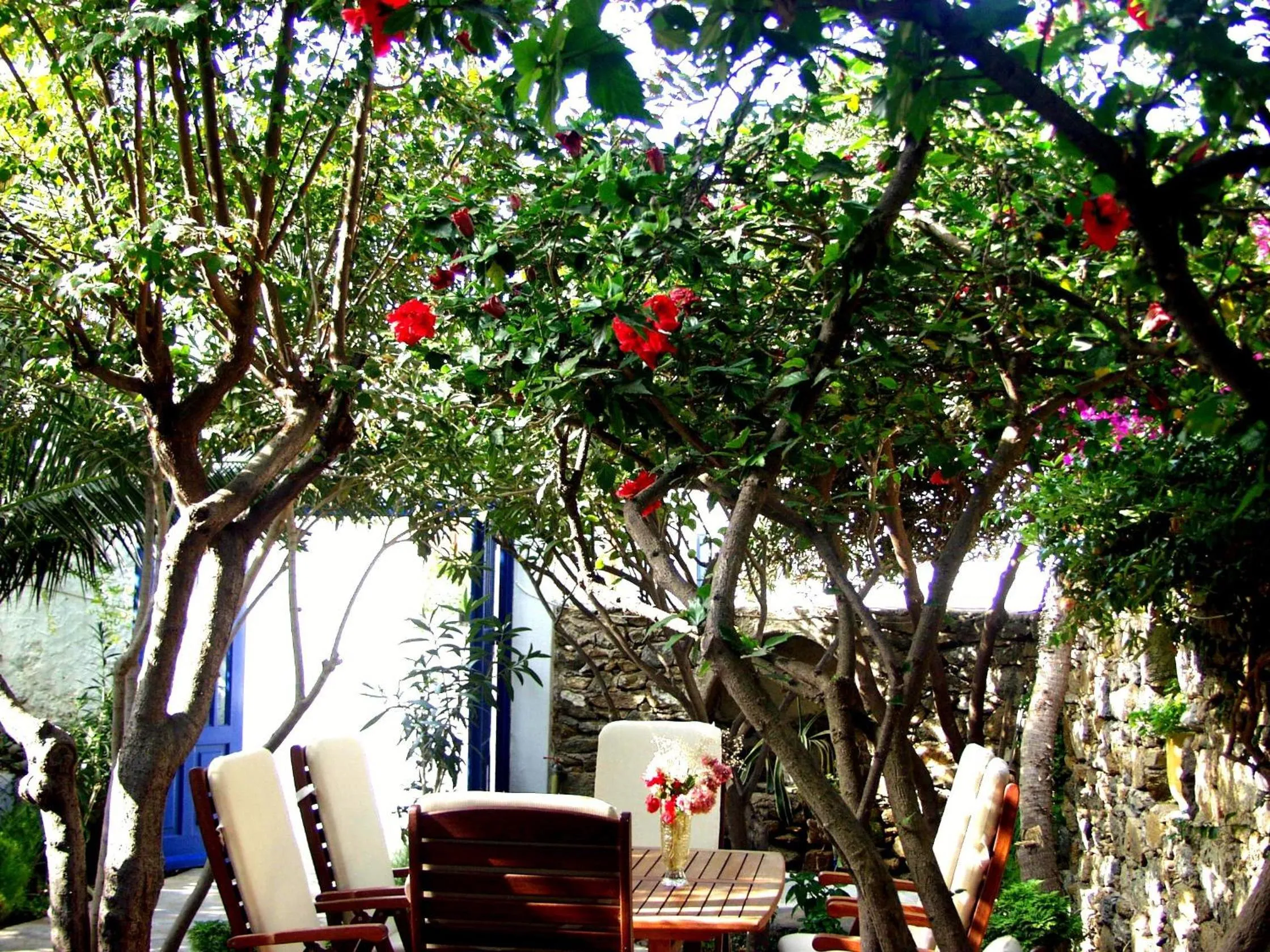 Garden in Matina Hotel