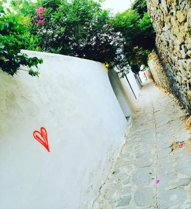 Activities in Matina Hotel