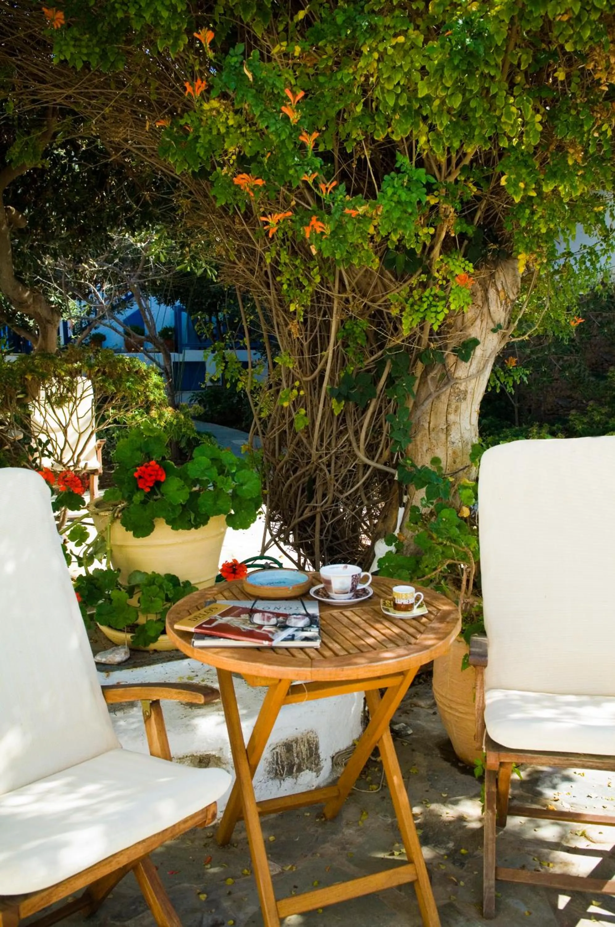 Garden in Matina Hotel