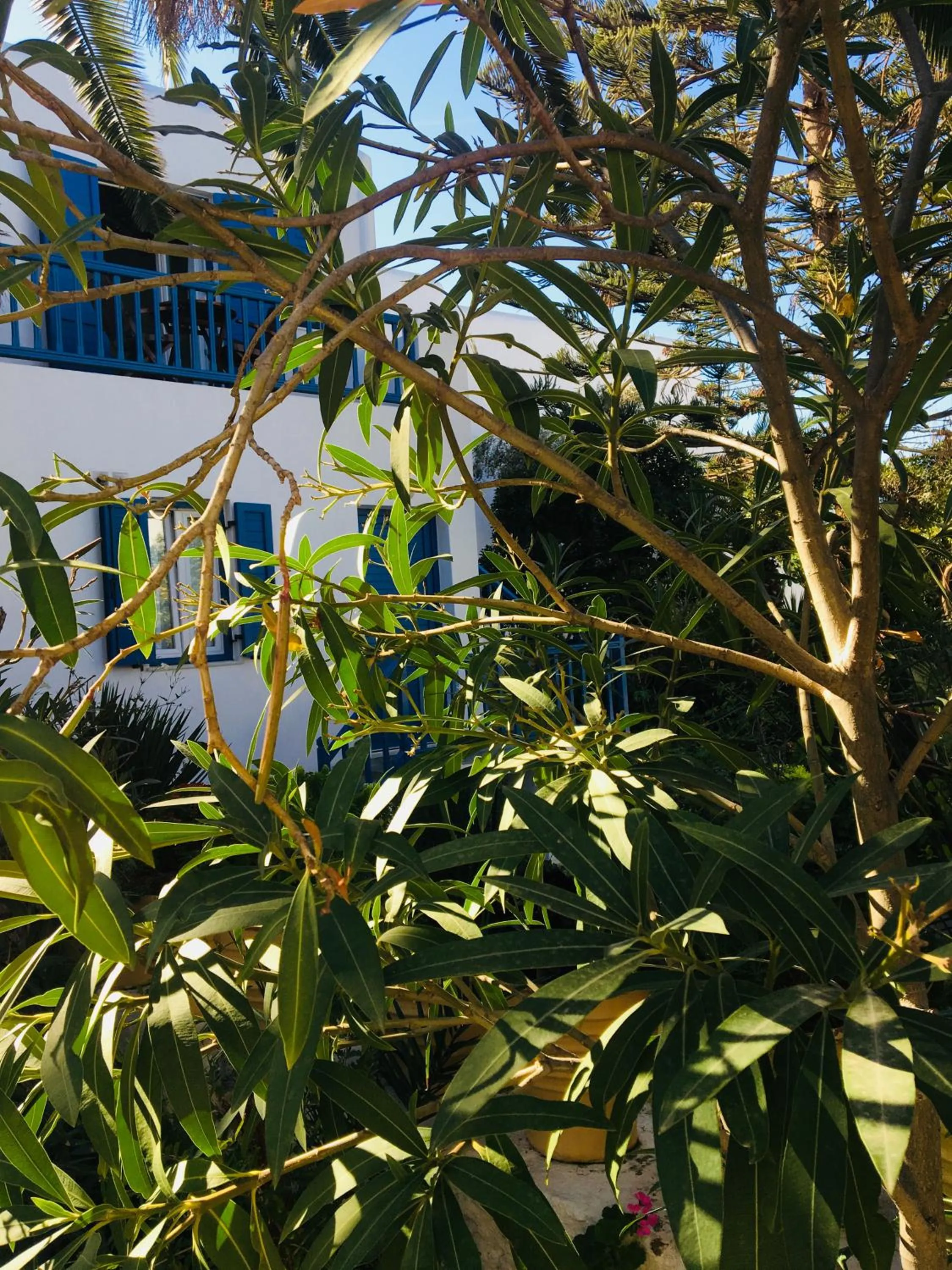 Property building in Matina Hotel