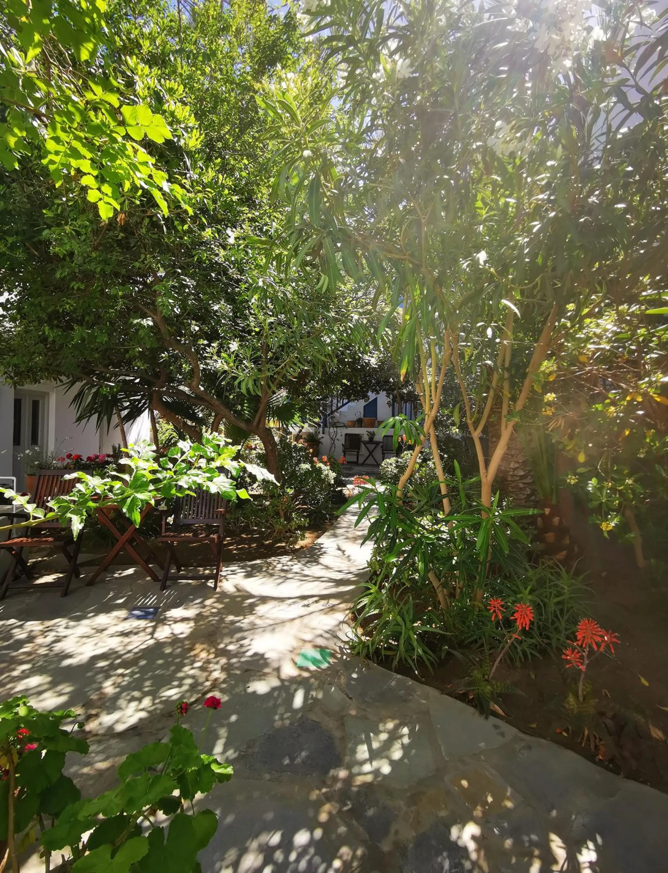 Garden in Matina Hotel