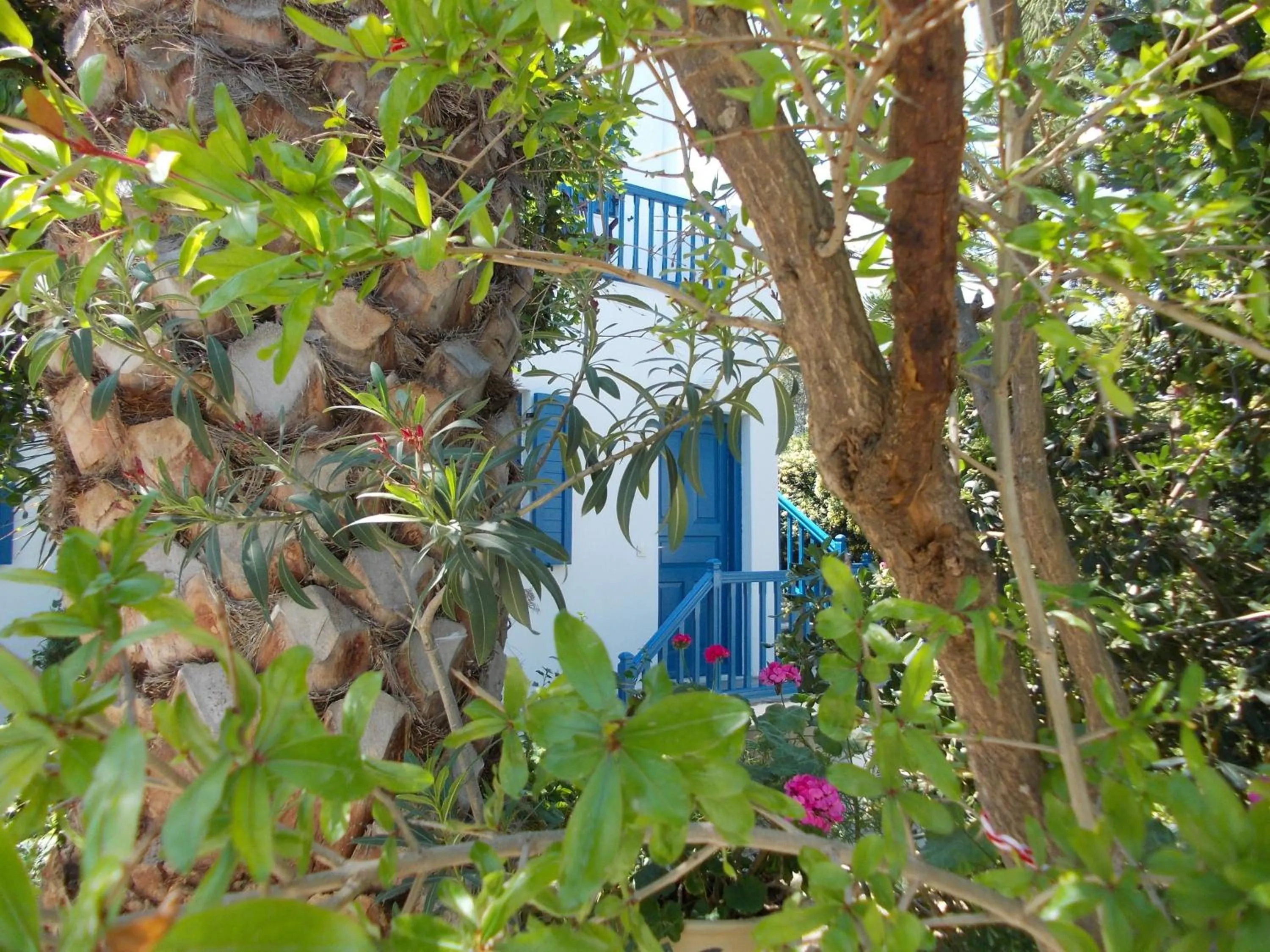 Garden in Matina Hotel