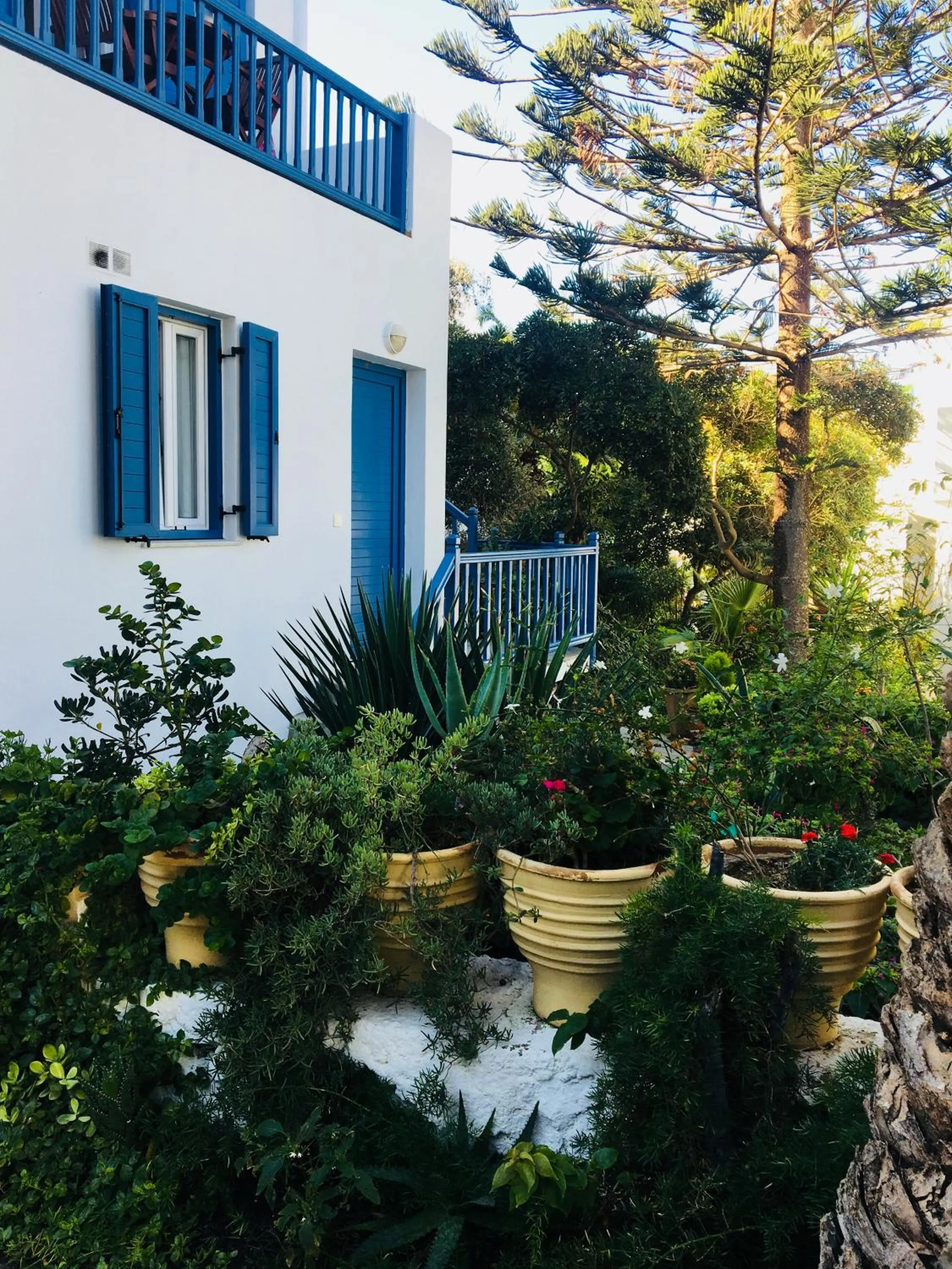 Property building in Matina Hotel