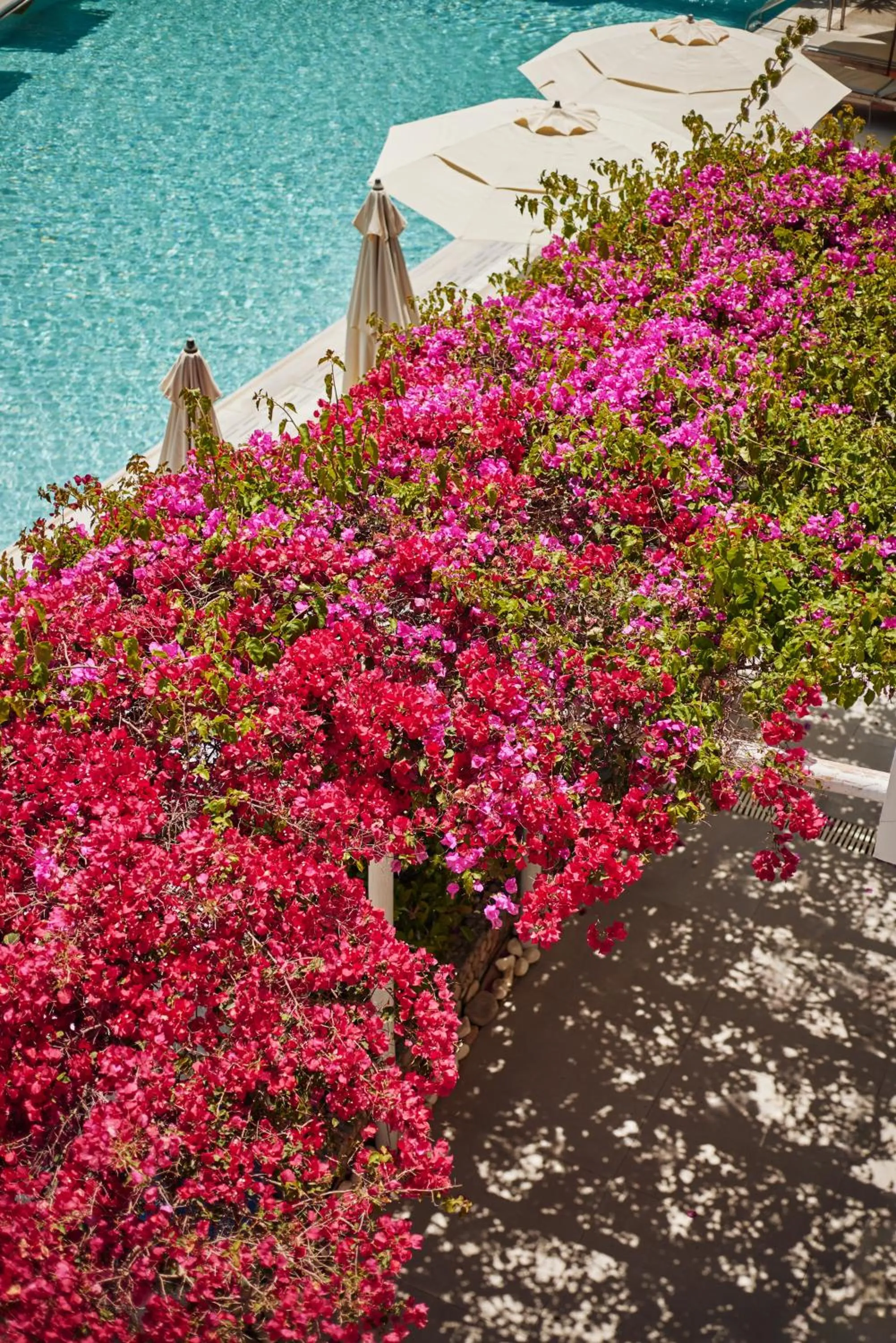 Swimming pool in Iniohos Zante Hotel & Suites