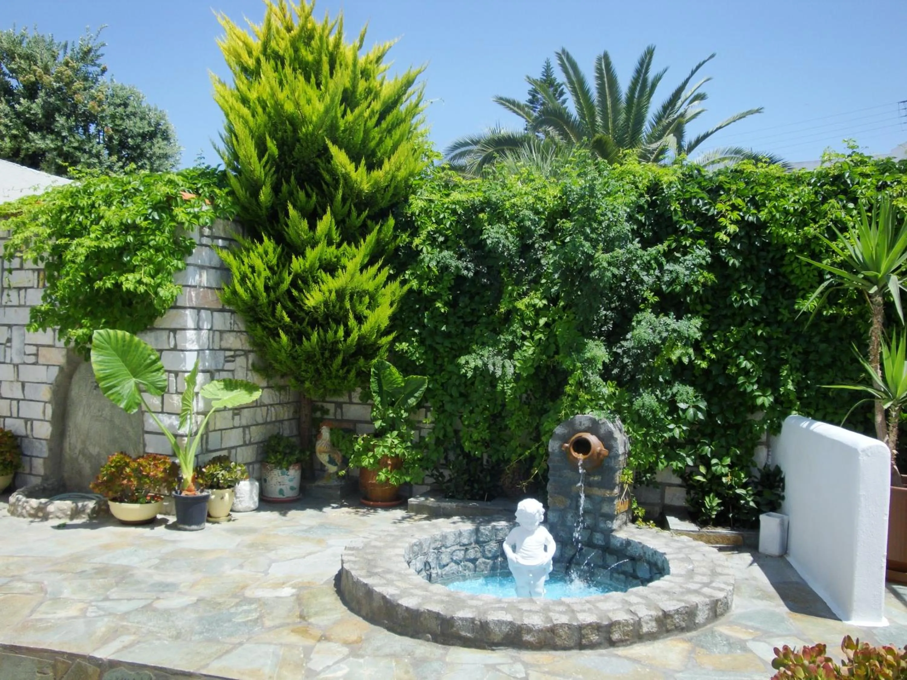 Garden in Vassiliki Rooms