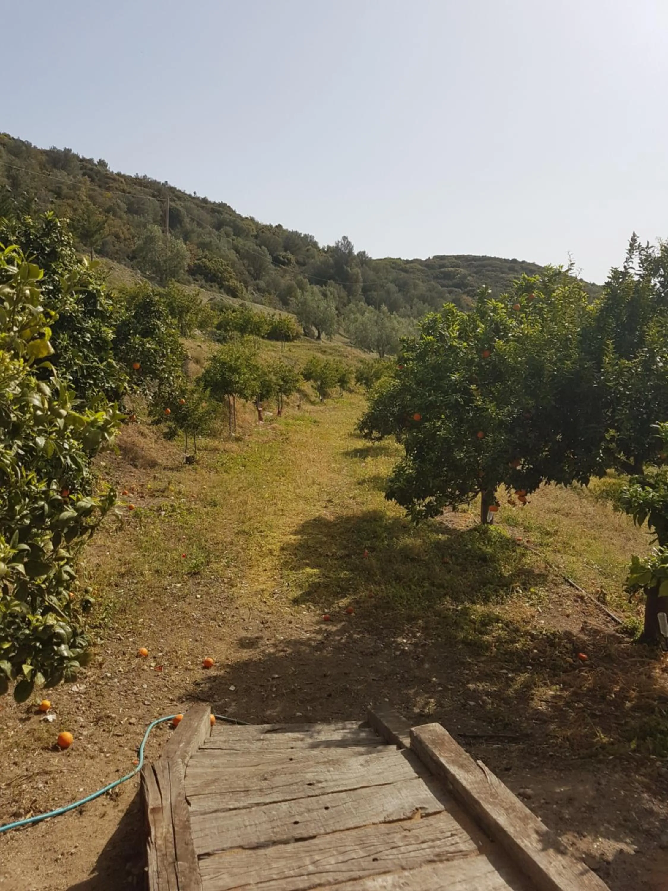 Natural landscape in Perivoli Country Hotel & Retreat