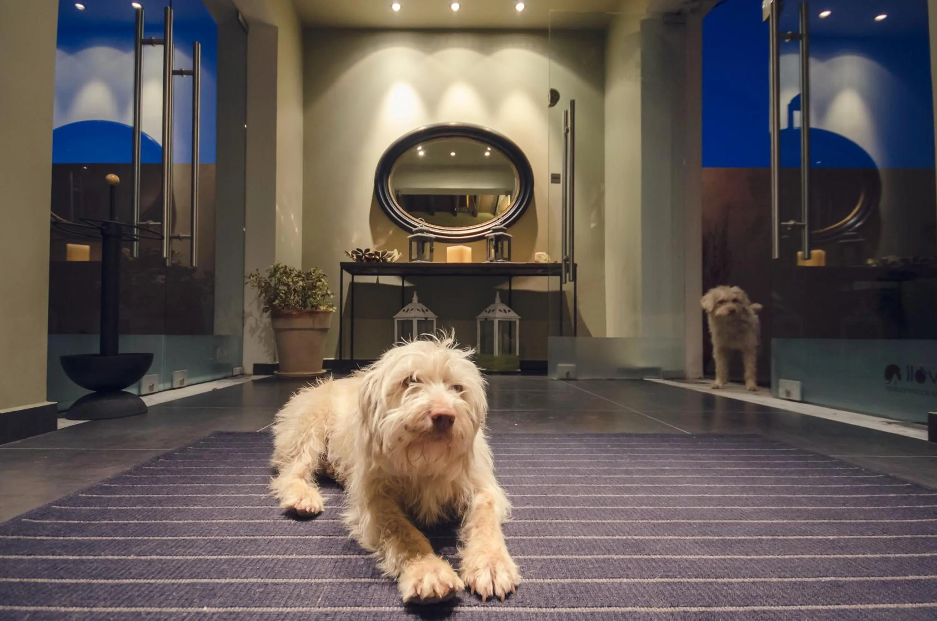 Facade/entrance in Perivoli Country Hotel & Retreat