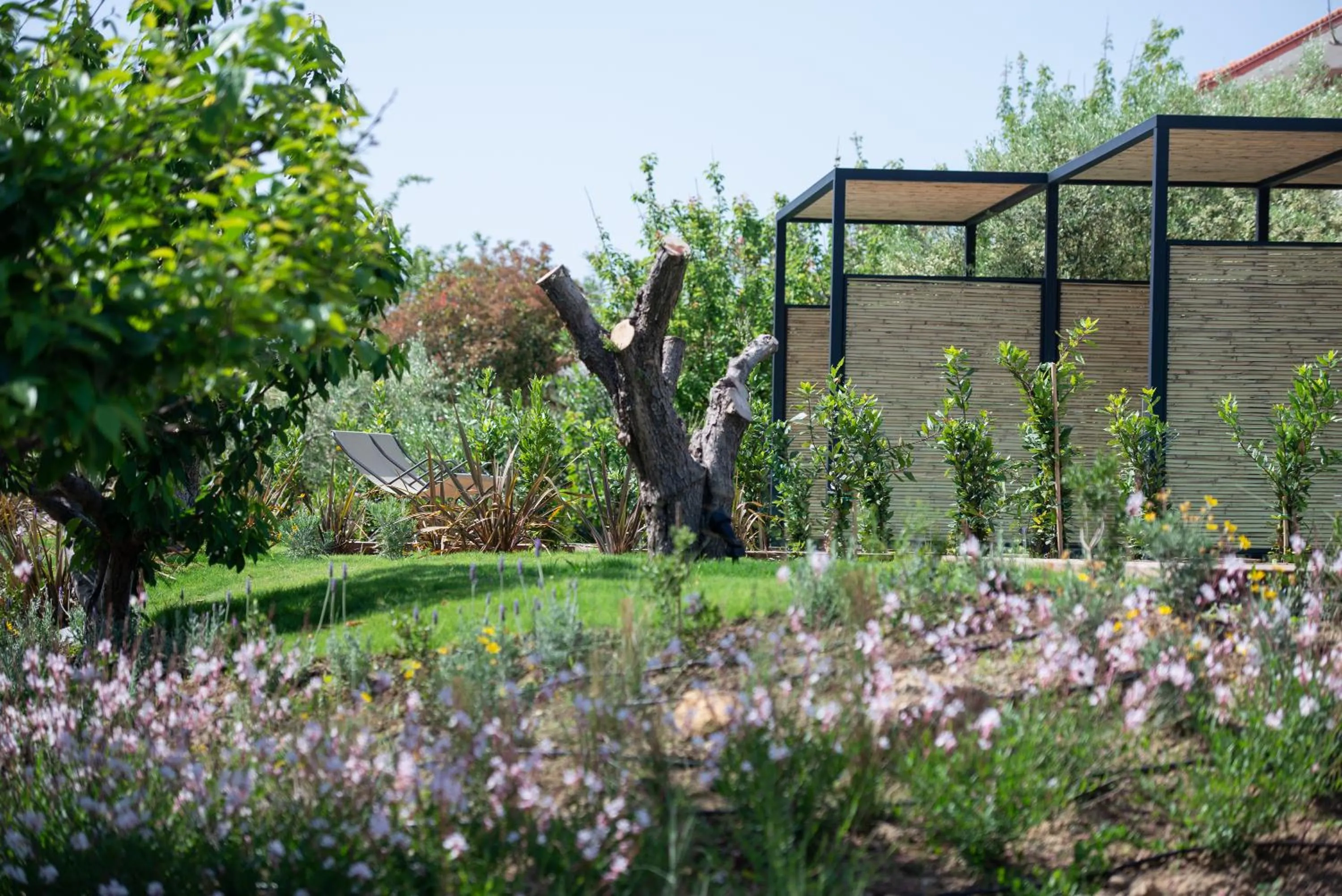 Garden in Antigoni Seaside Resort