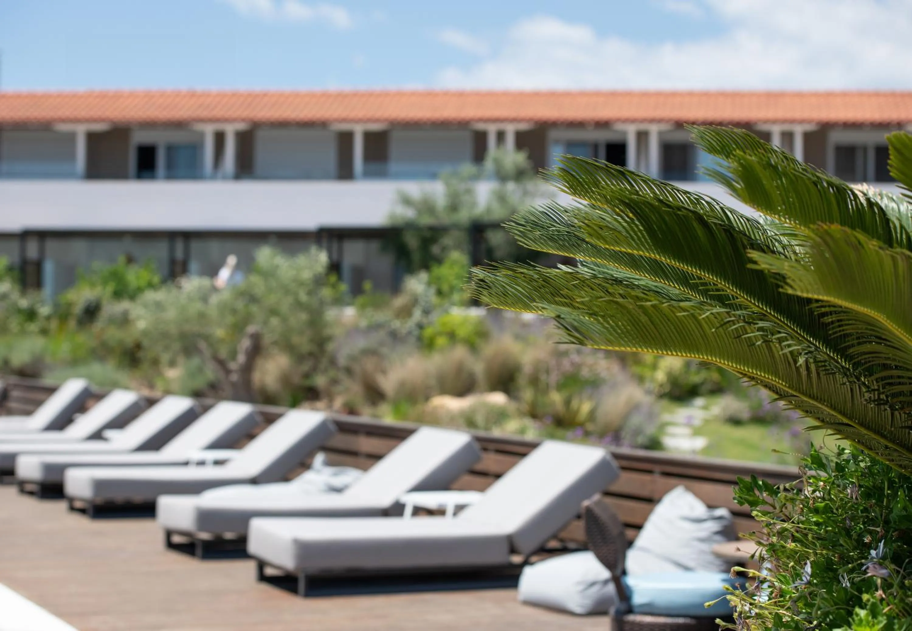 Garden in Antigoni Seaside Resort