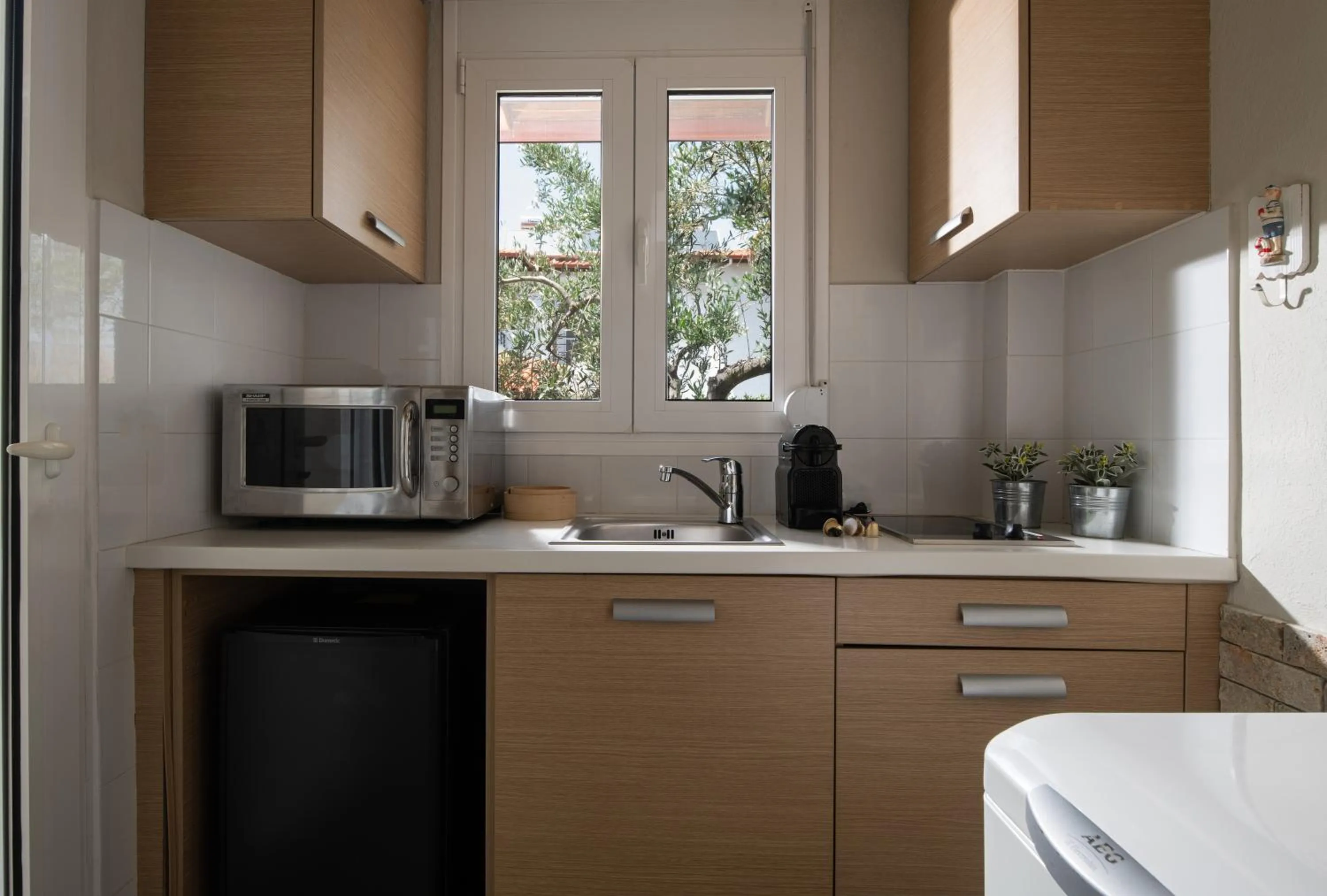 Kitchen or kitchenette in Antigoni Seaside Resort